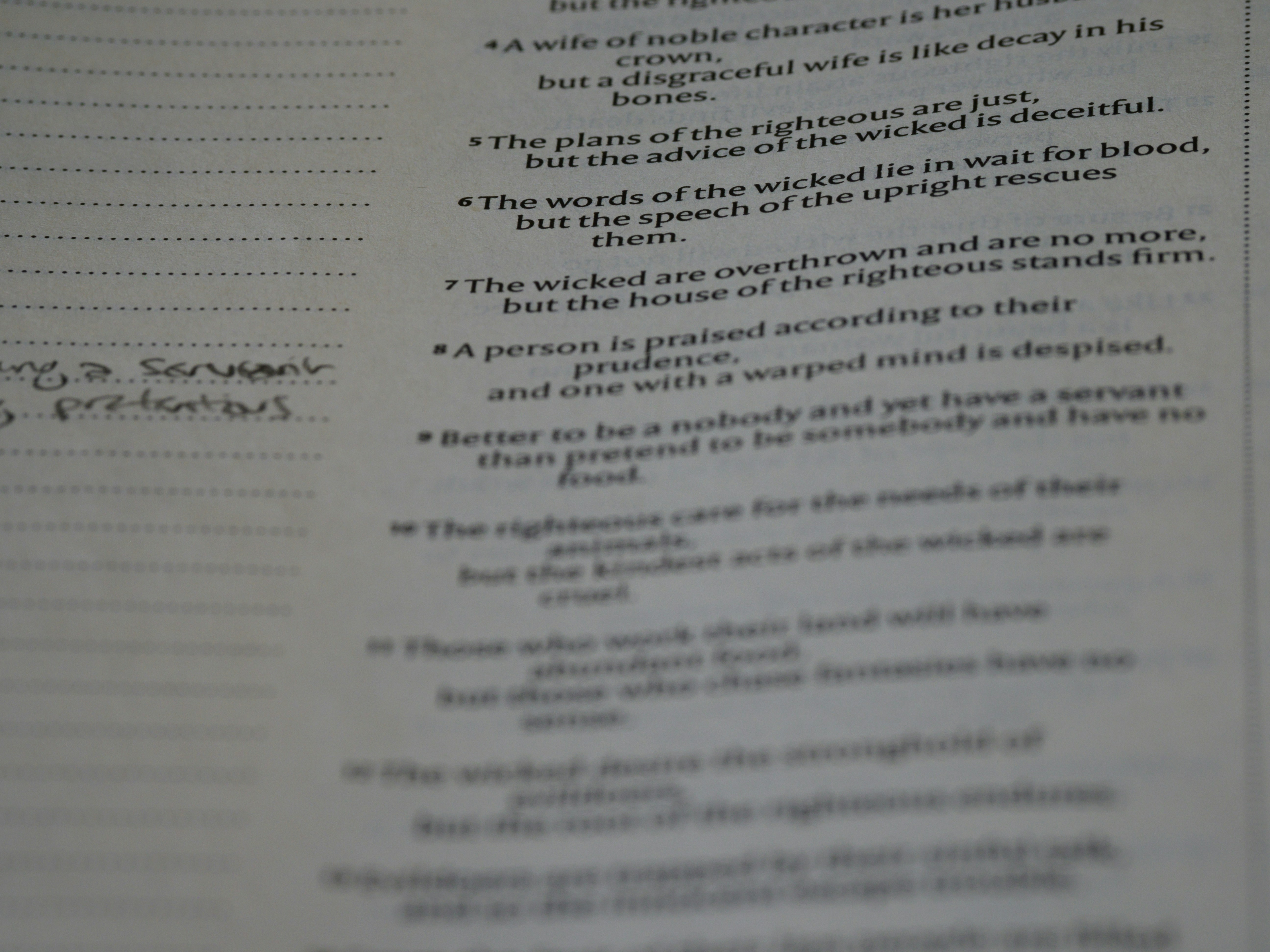 Photo by brett_jordan