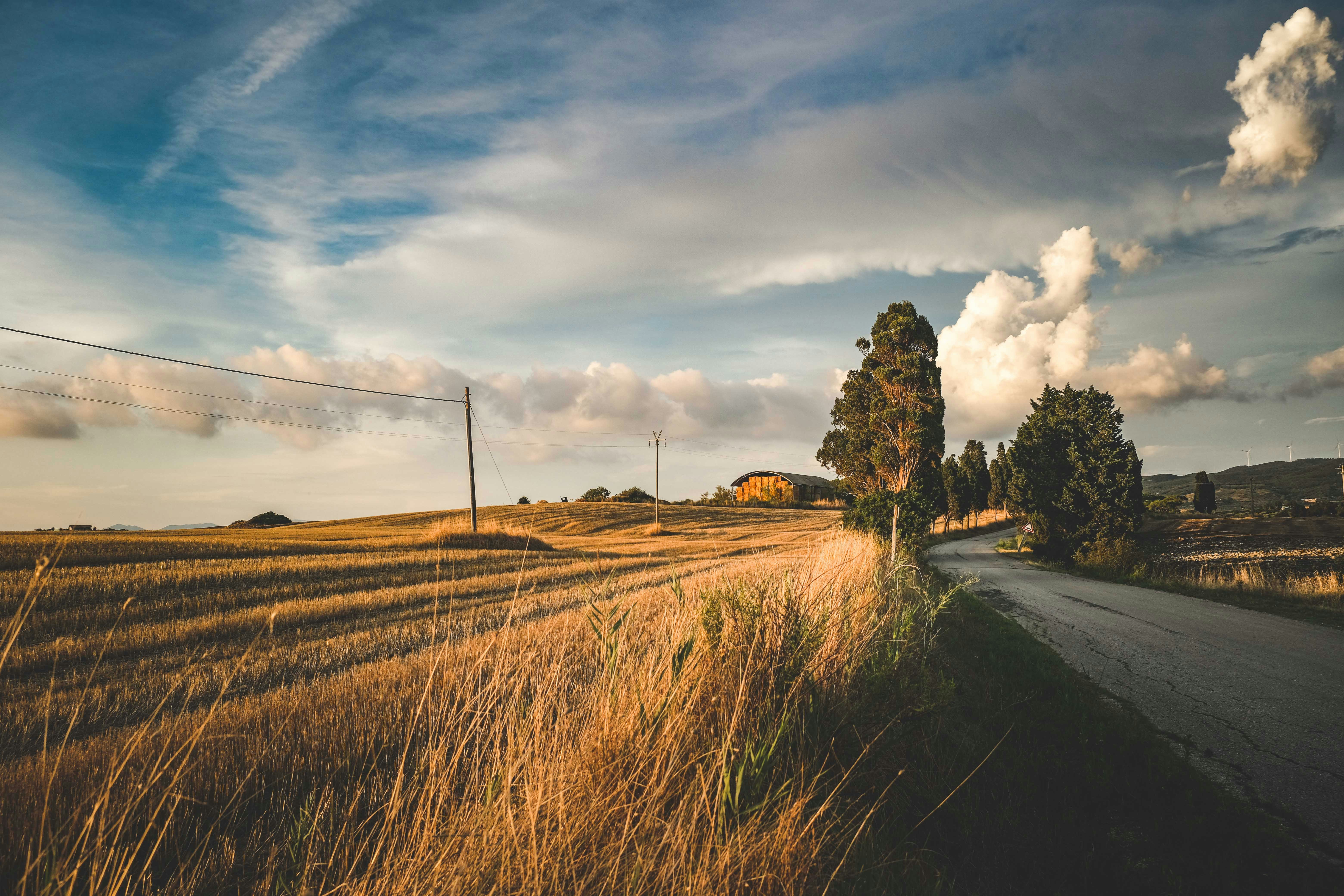 Photo by francesco_ungaro