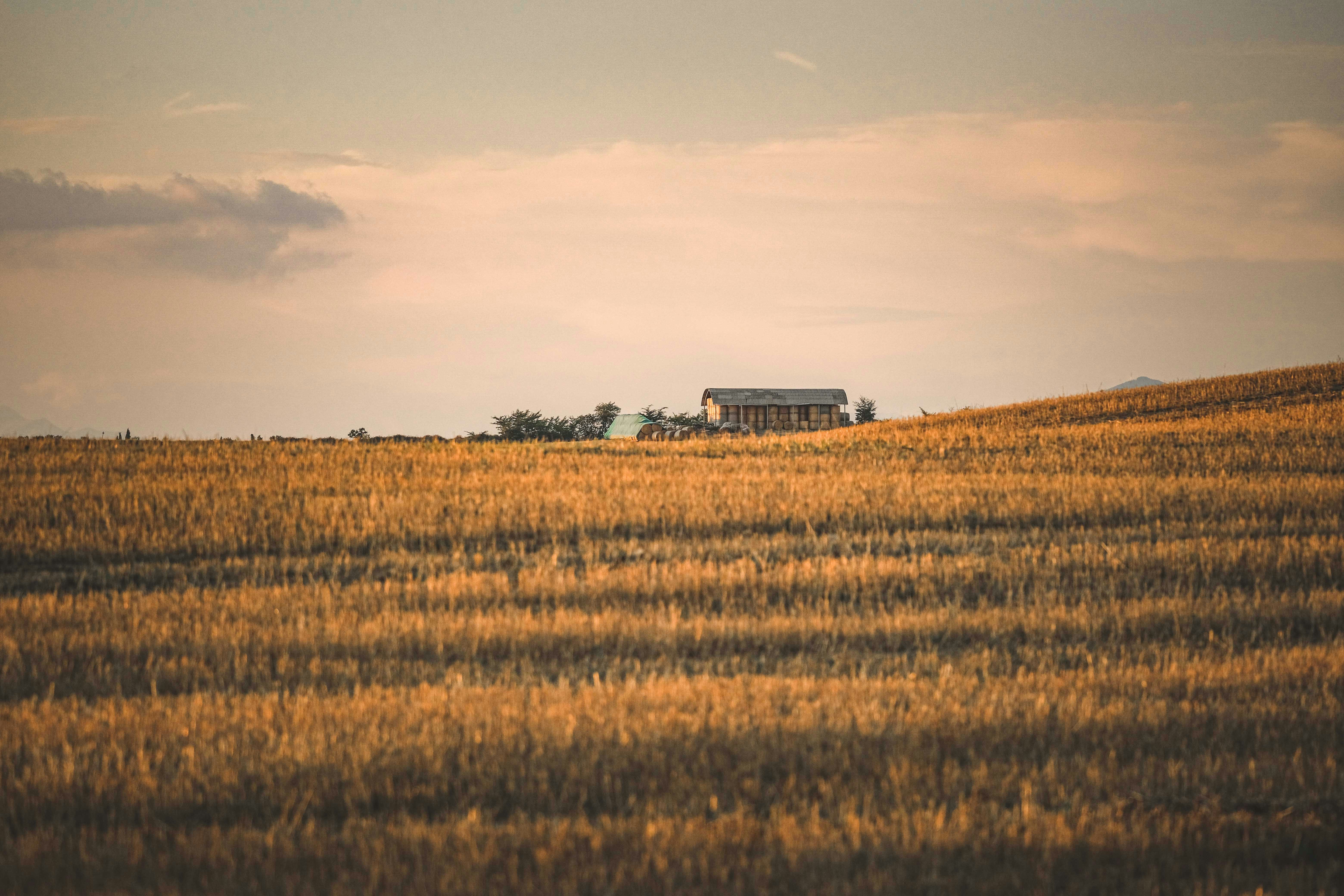 Photo by francesco_ungaro