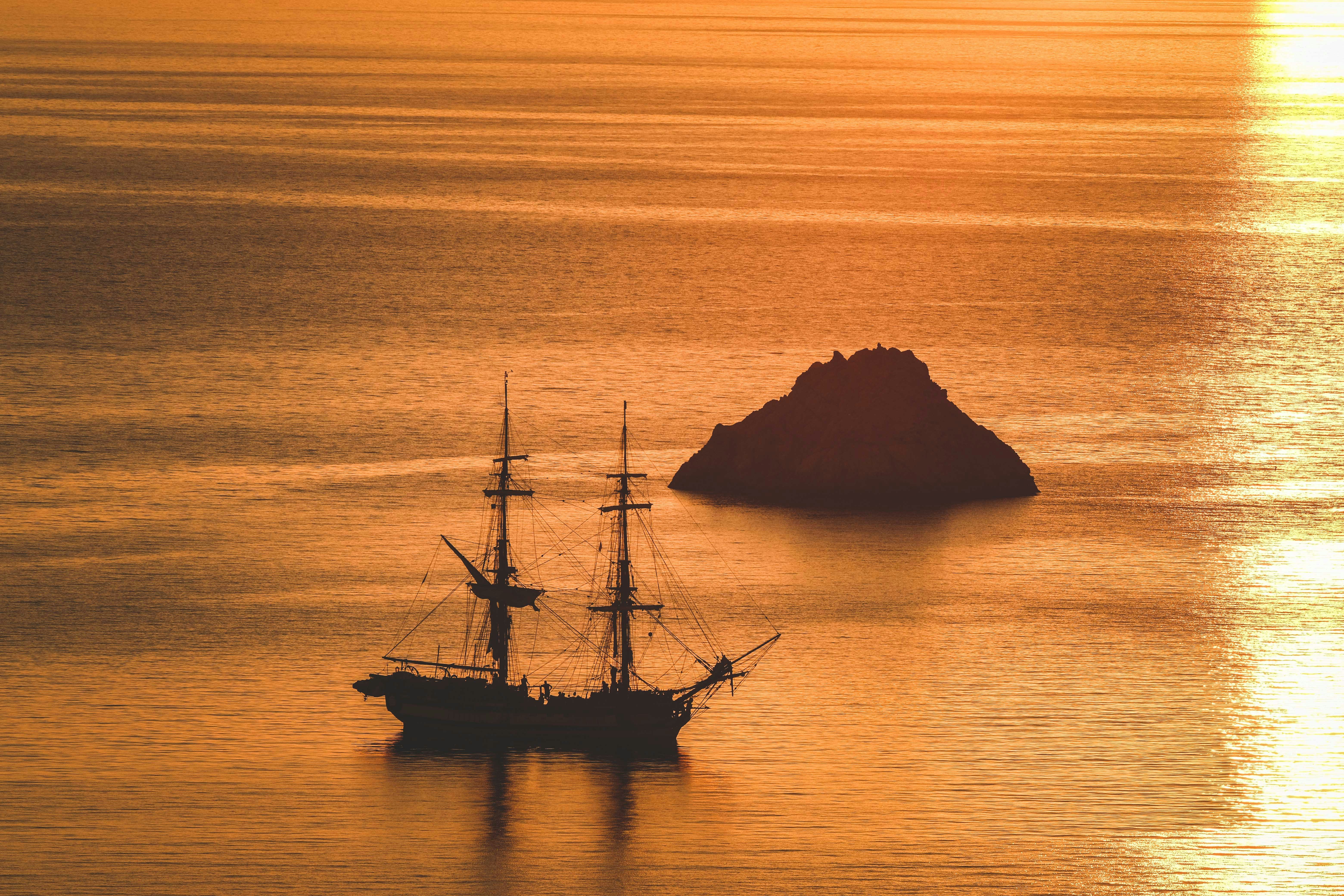 Featured image of post codex