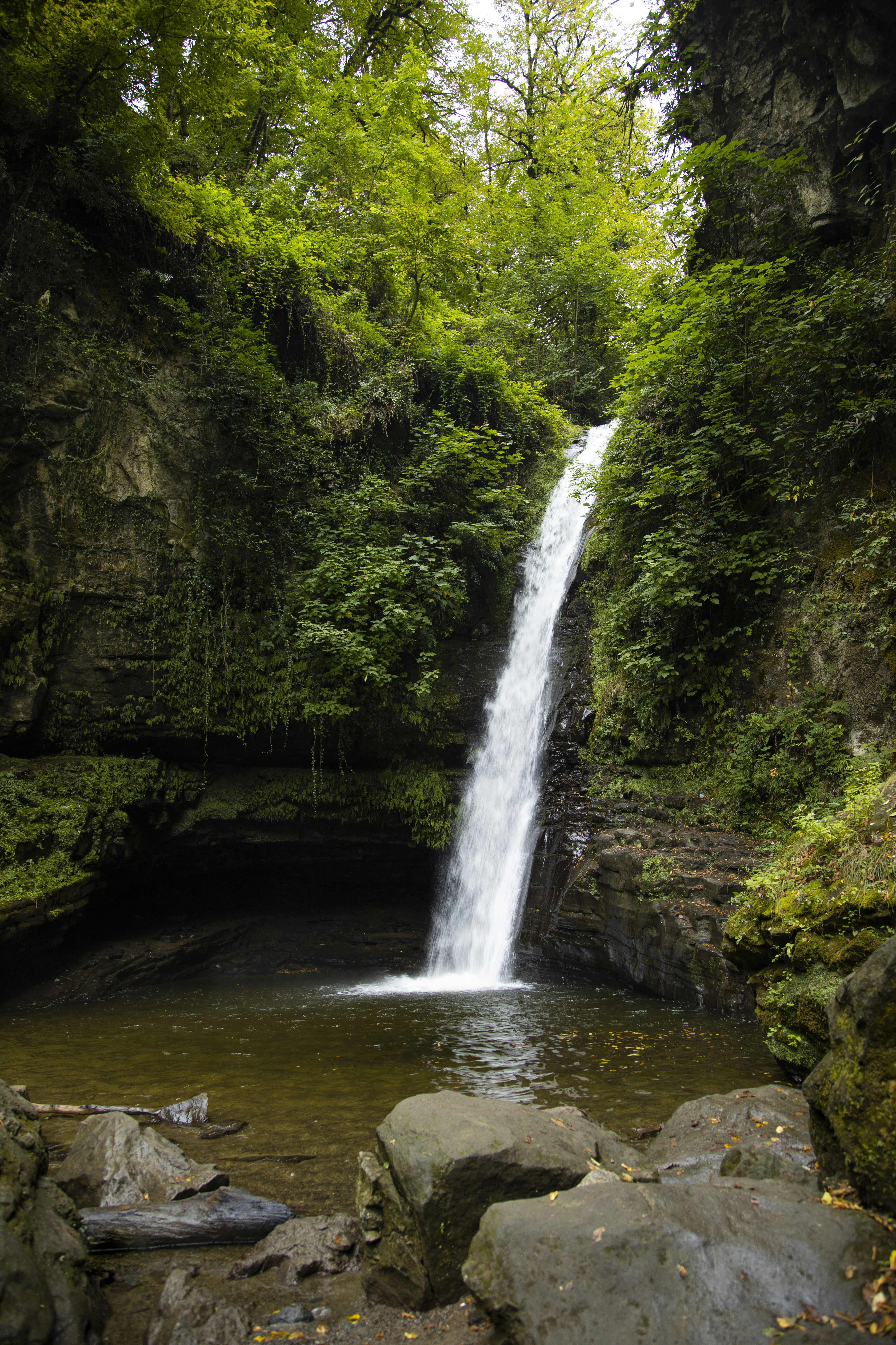 Photo by arashramznpr