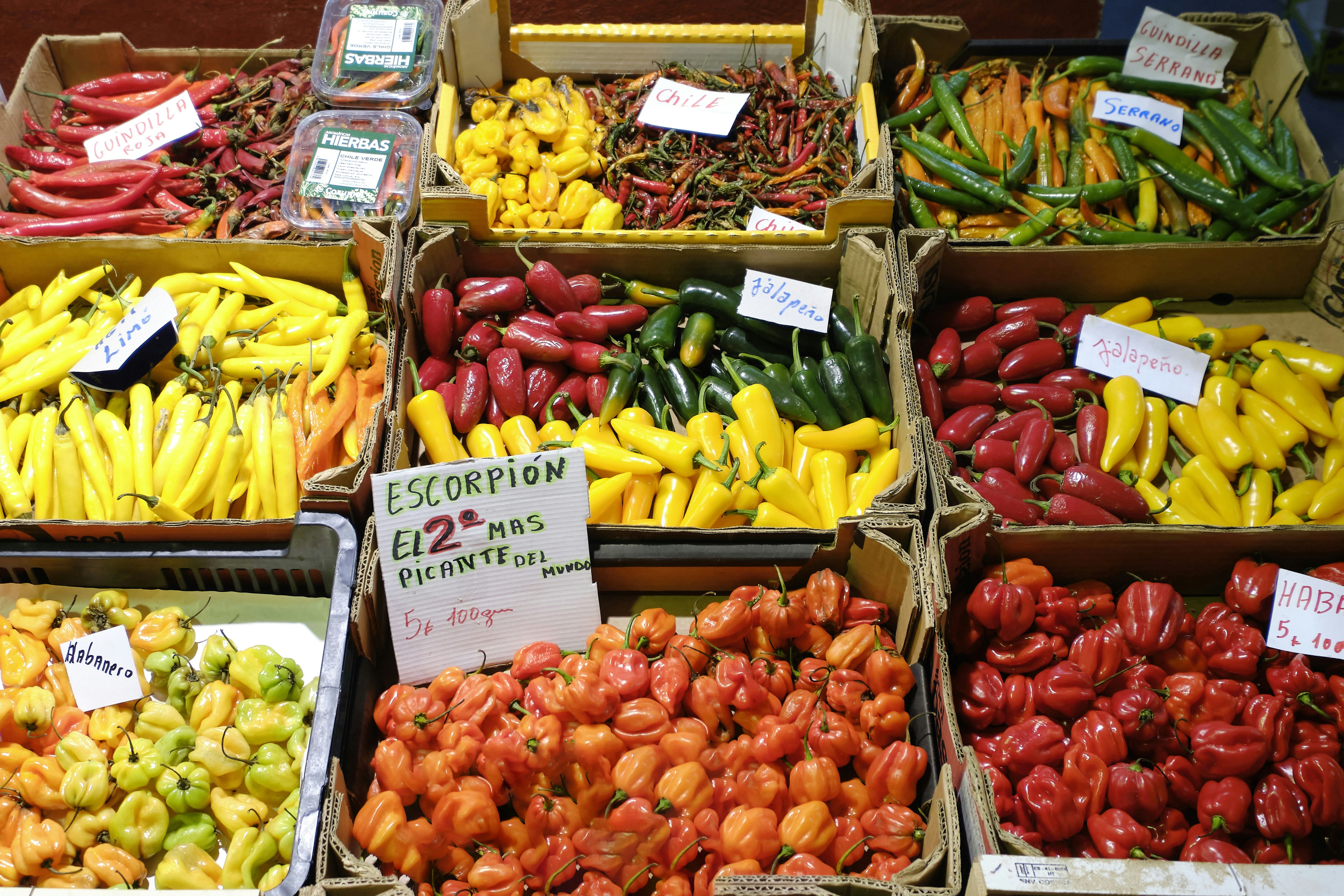 Deferentes variedades de chiles