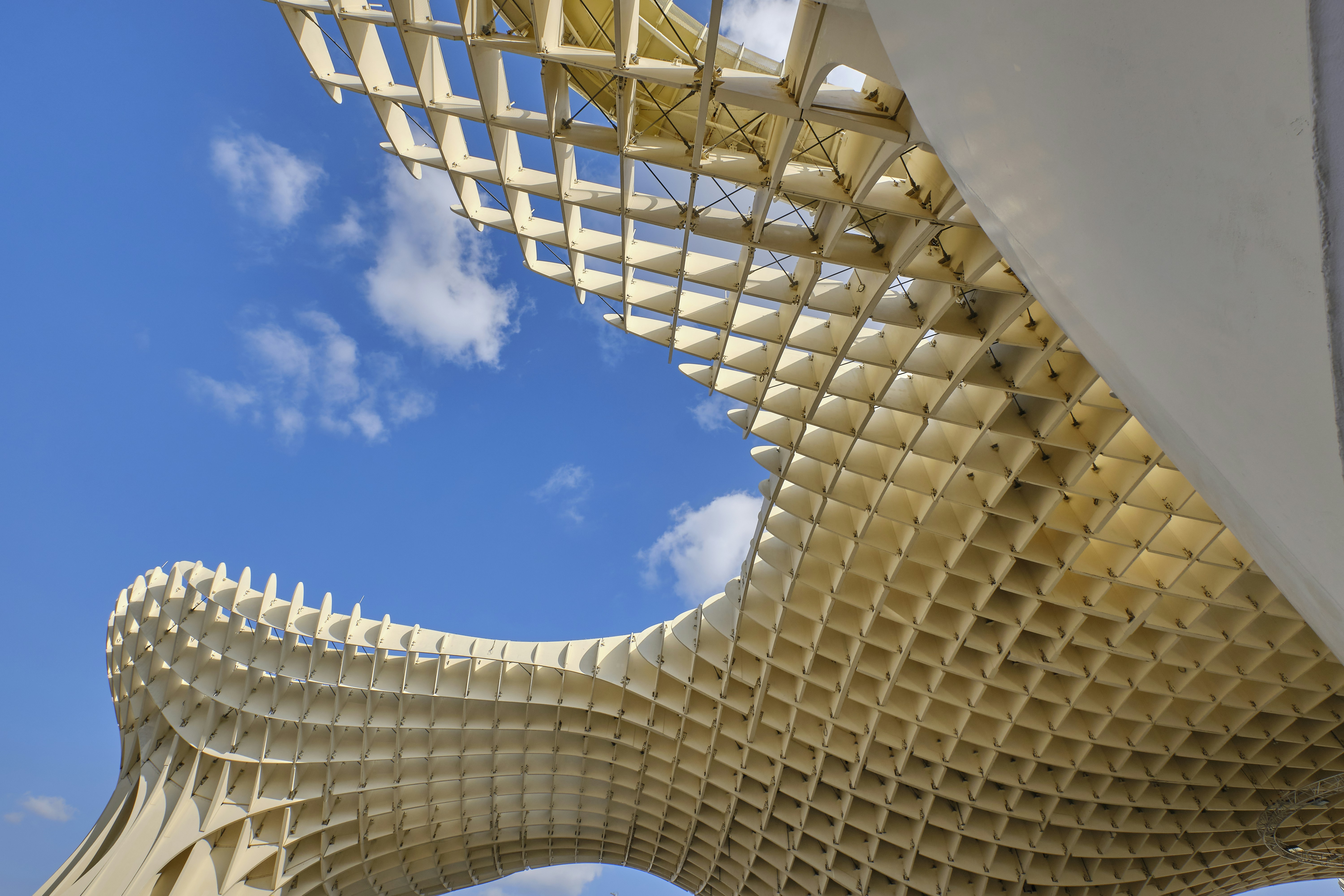 Photo by angel_gonzalez