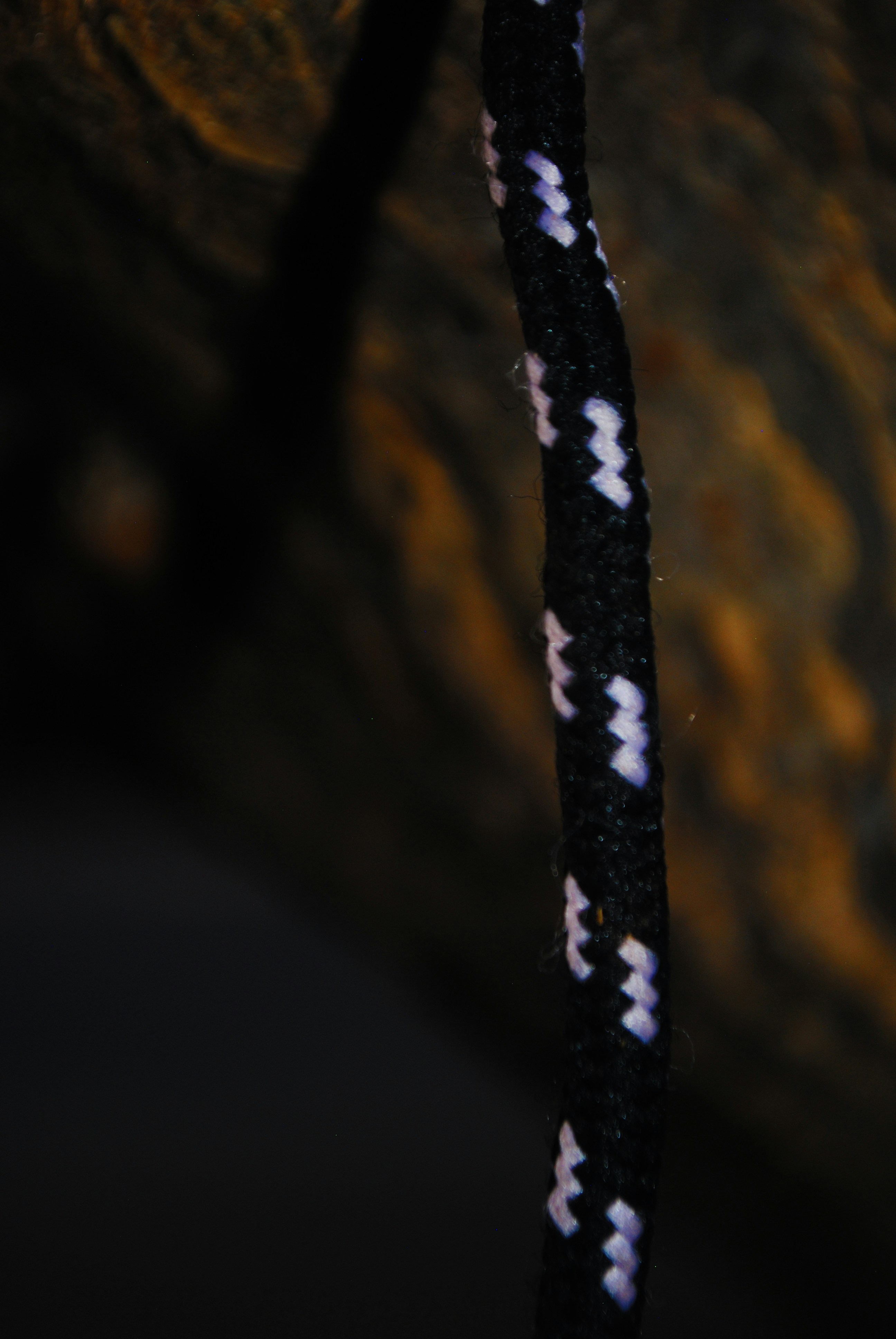 Elegant Shibari Canvas