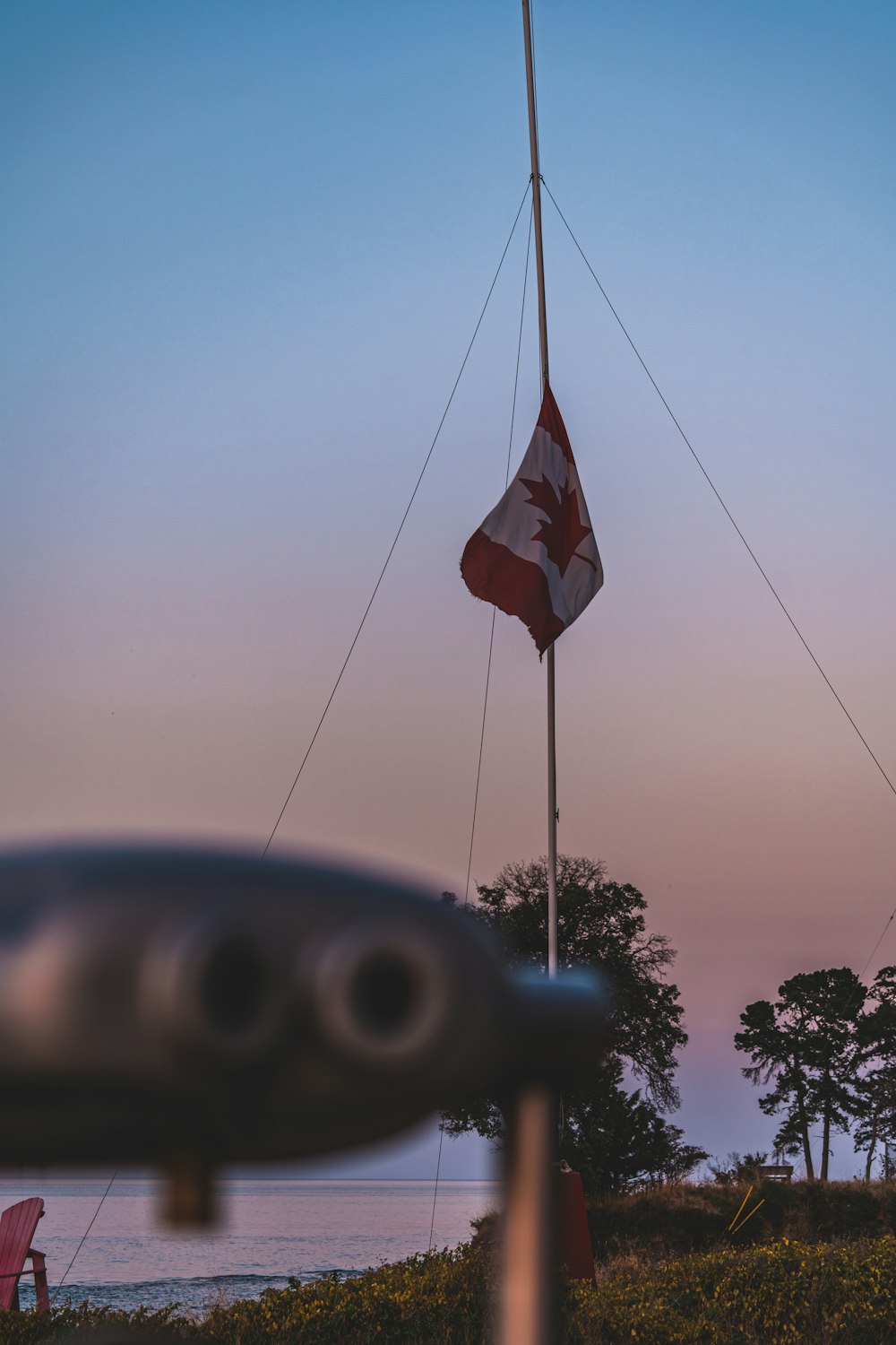 a flag on a pole