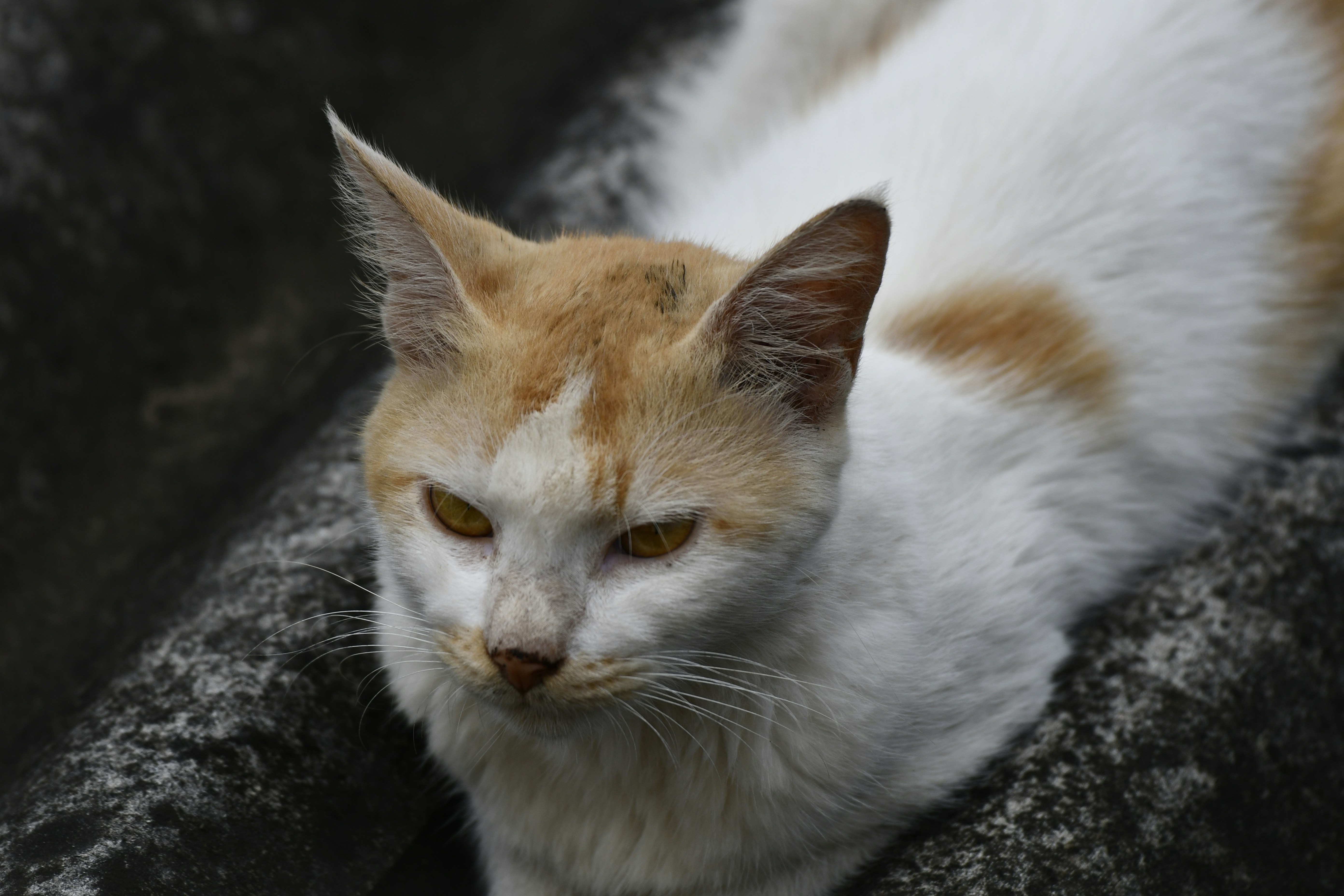 Photo by wrishi2004m