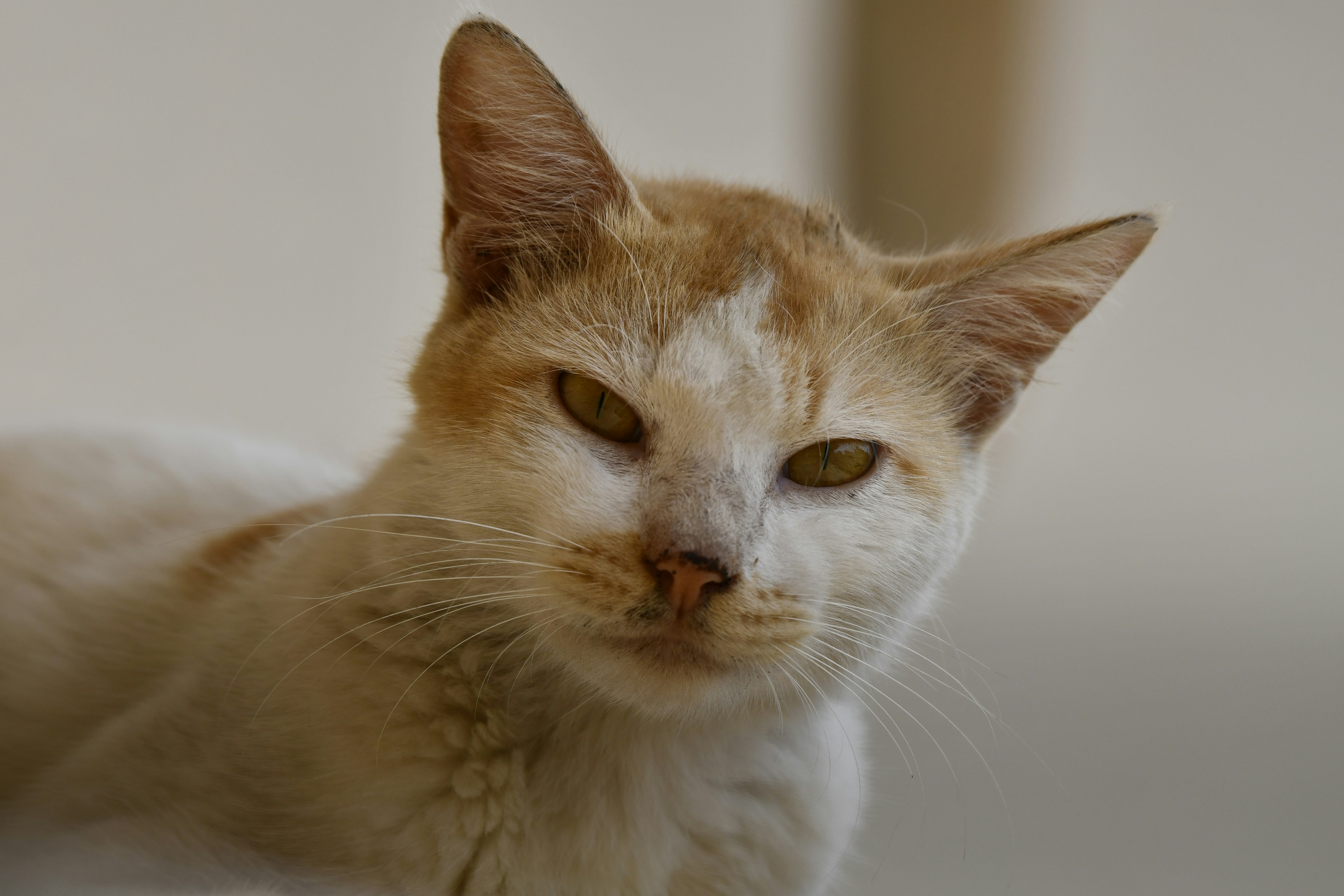 Photo by wrishi2004m