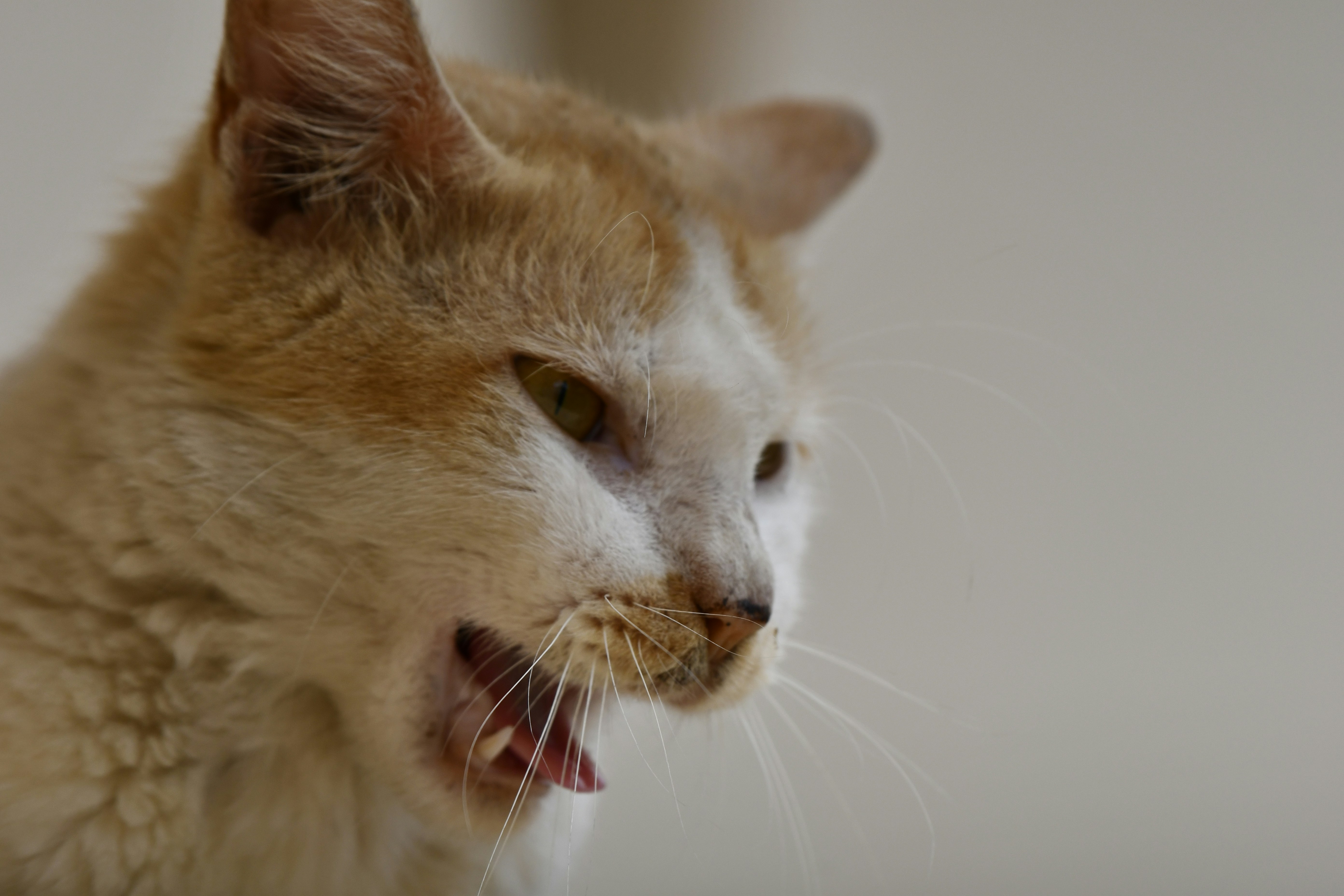 Photo by wrishi2004m