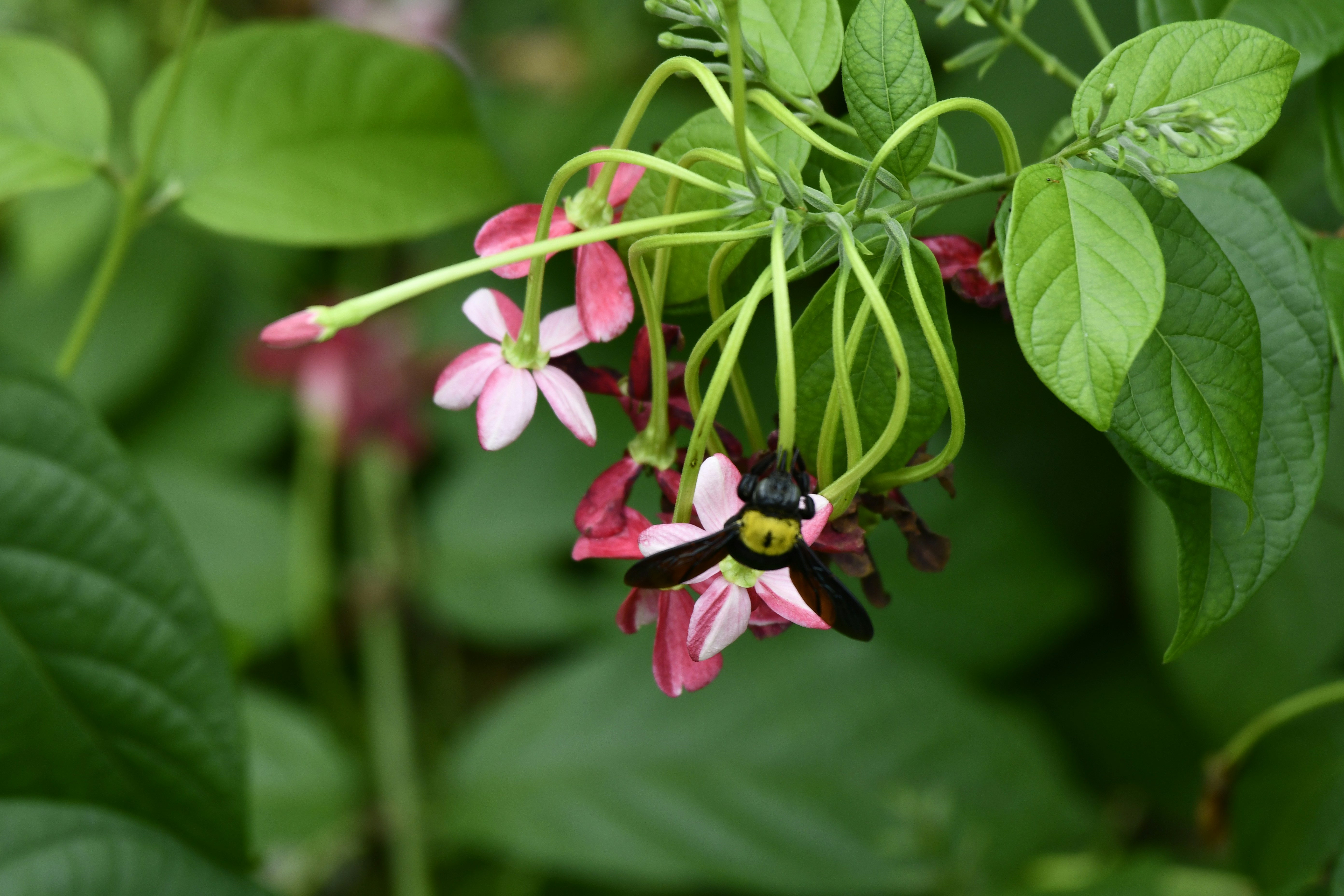 Photo by wrishi2004m