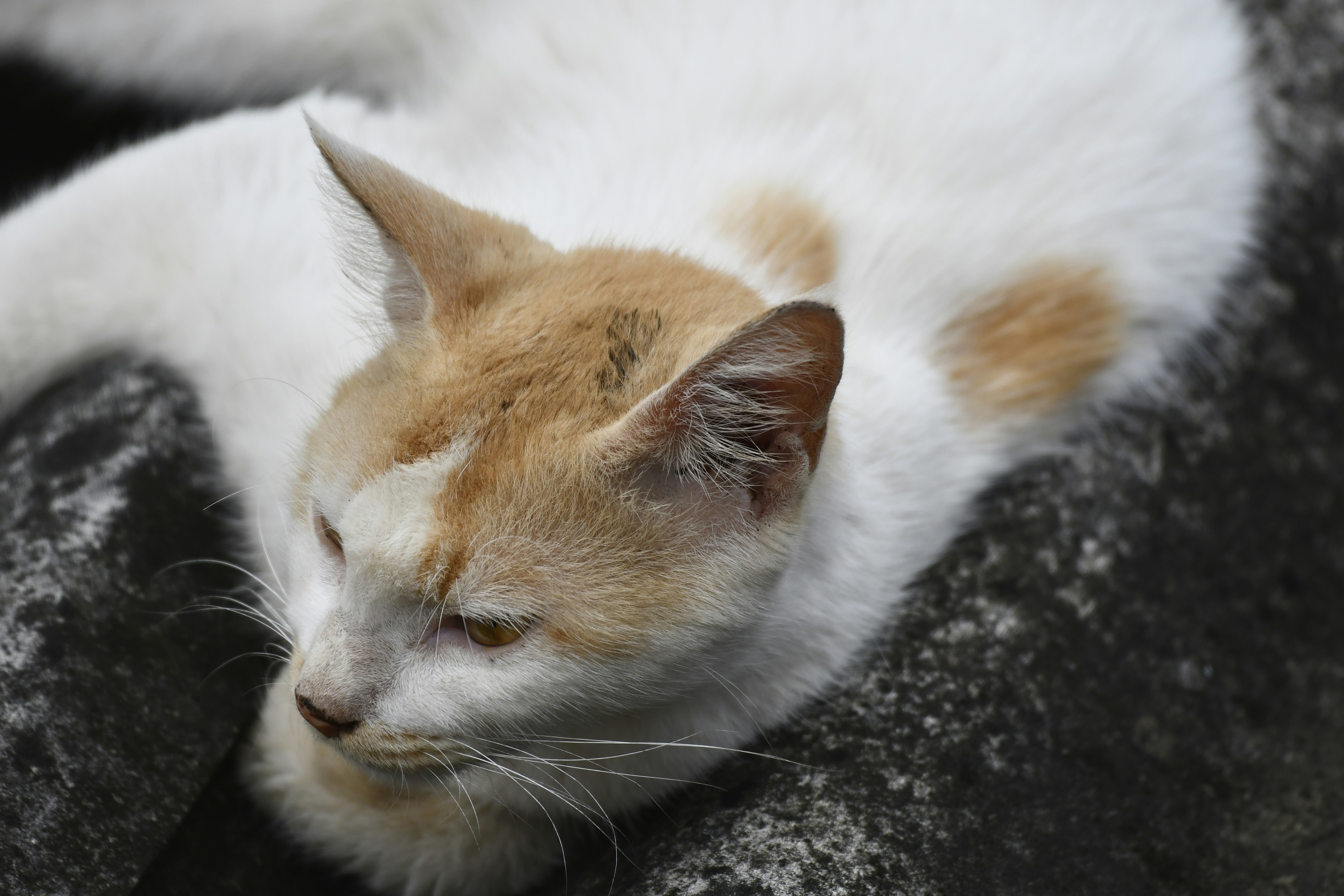 Photo by wrishi2004m