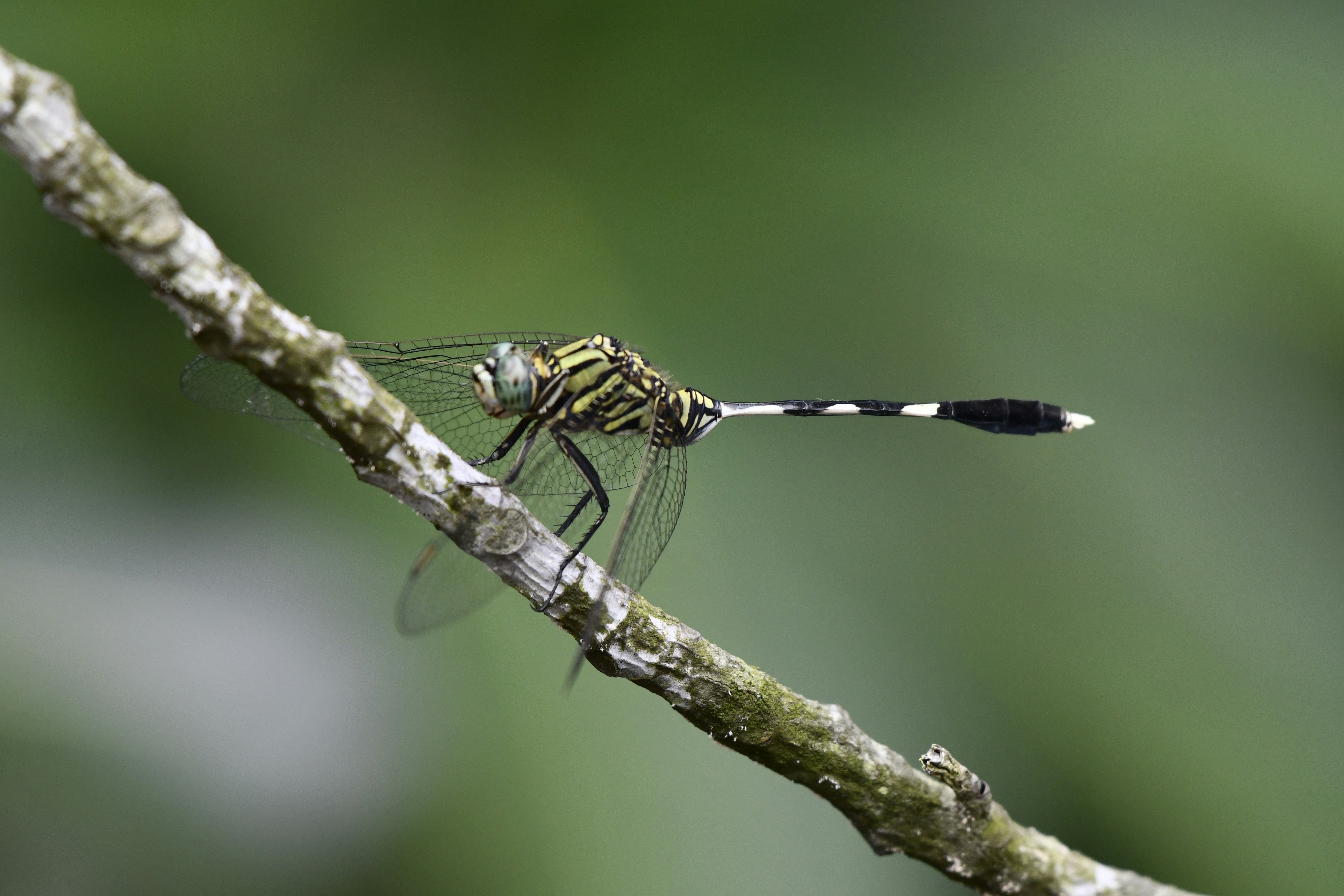 Photo by wrishi2004m