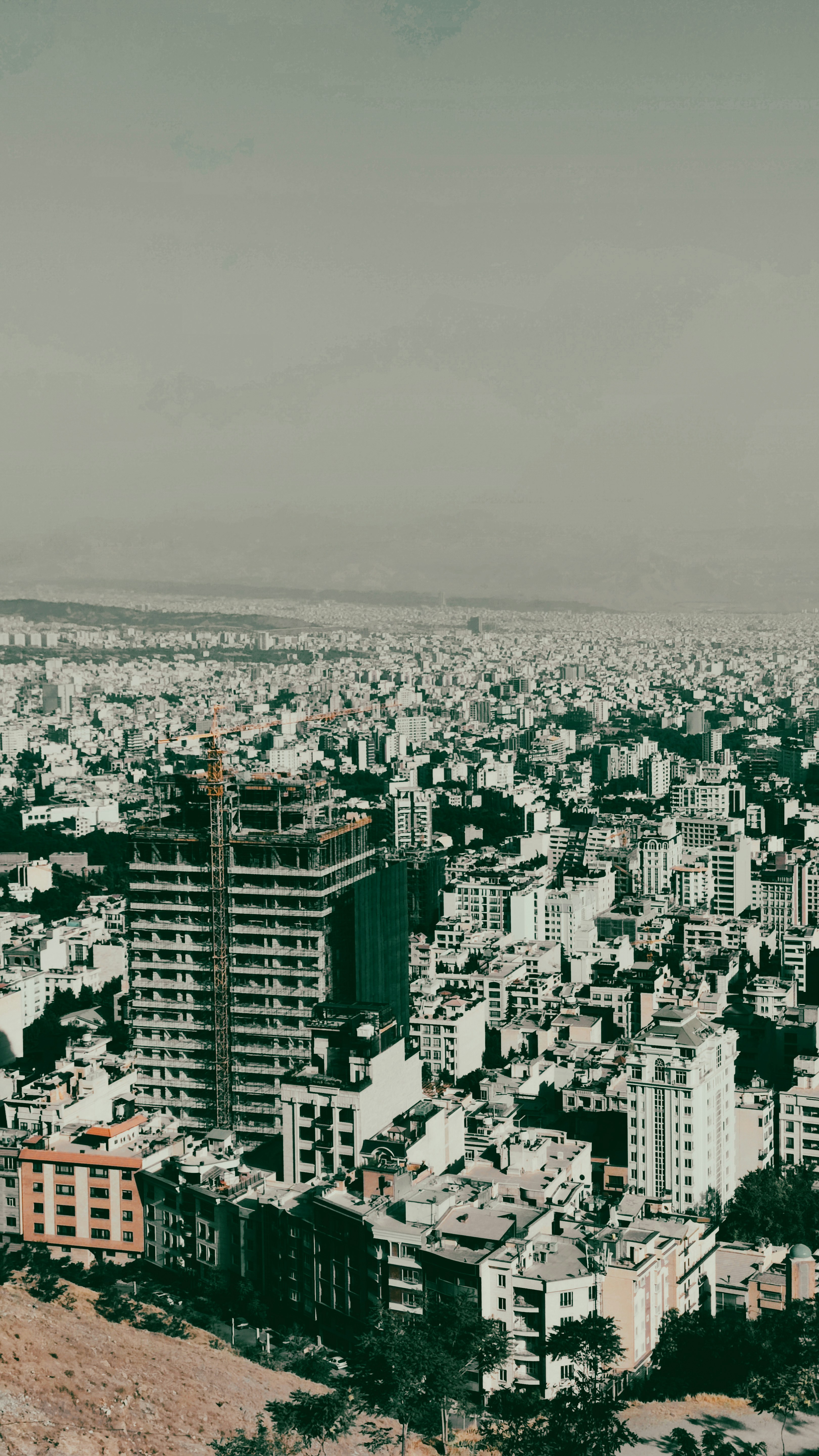 Photo by habibeskandari