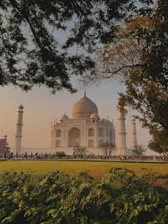 A distant view of the Taj Mahal framed by lush greenery and trees. The iconic white marble mausoleum is bathed in warm, golden light under a blue sky. Visitors can be seen walking on the grounds and admiring the structure.