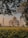 A scenic view of the Taj Mahal at sunrise.
