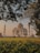 A scenic view of the Taj Mahal at sunrise.