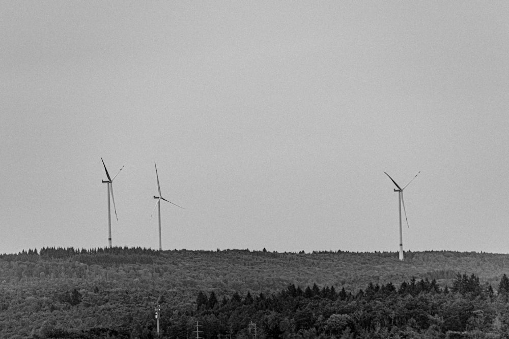 um grupo de turbinas eólicas em um campo