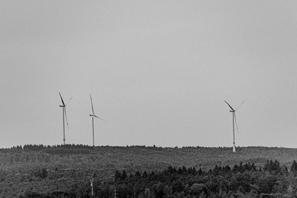 a group of wind turbines in a field