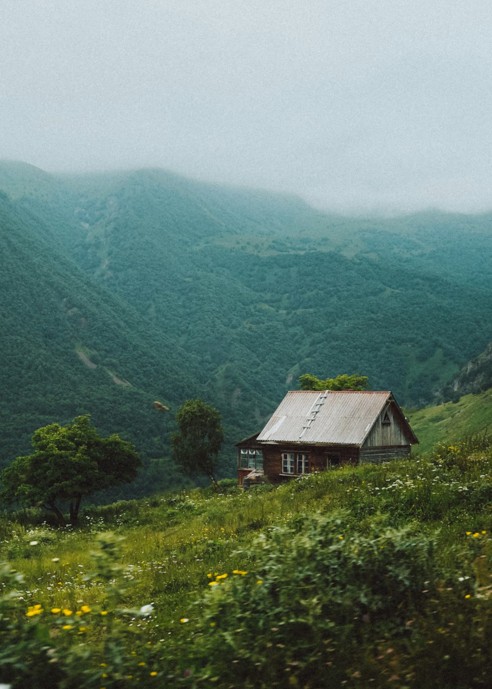 a house on a hill