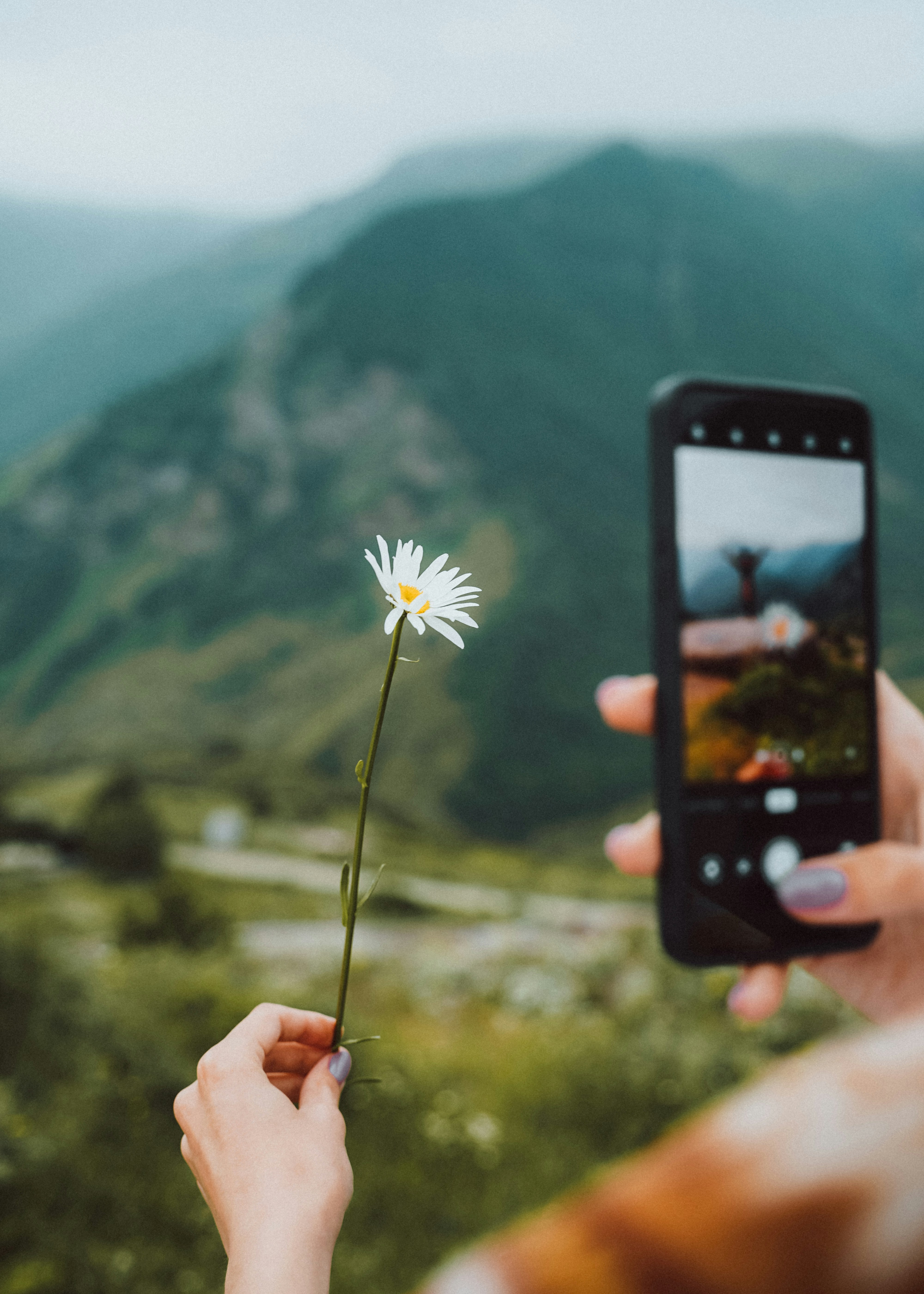 eine Person, die eine Blume hält