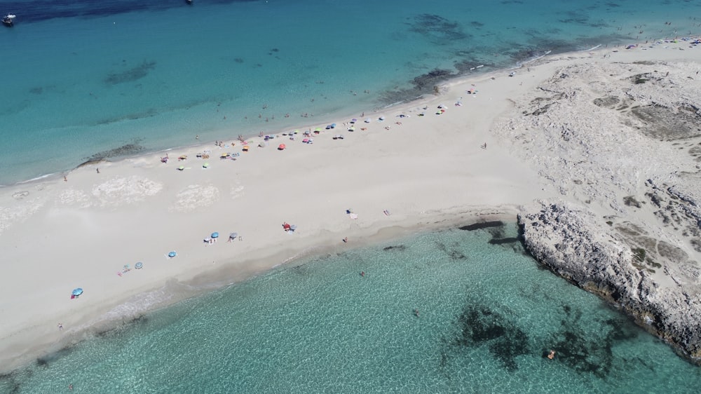 a beach with people swimming