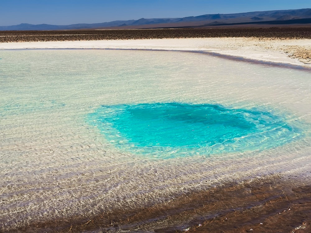 a body of water with a blue pool in it