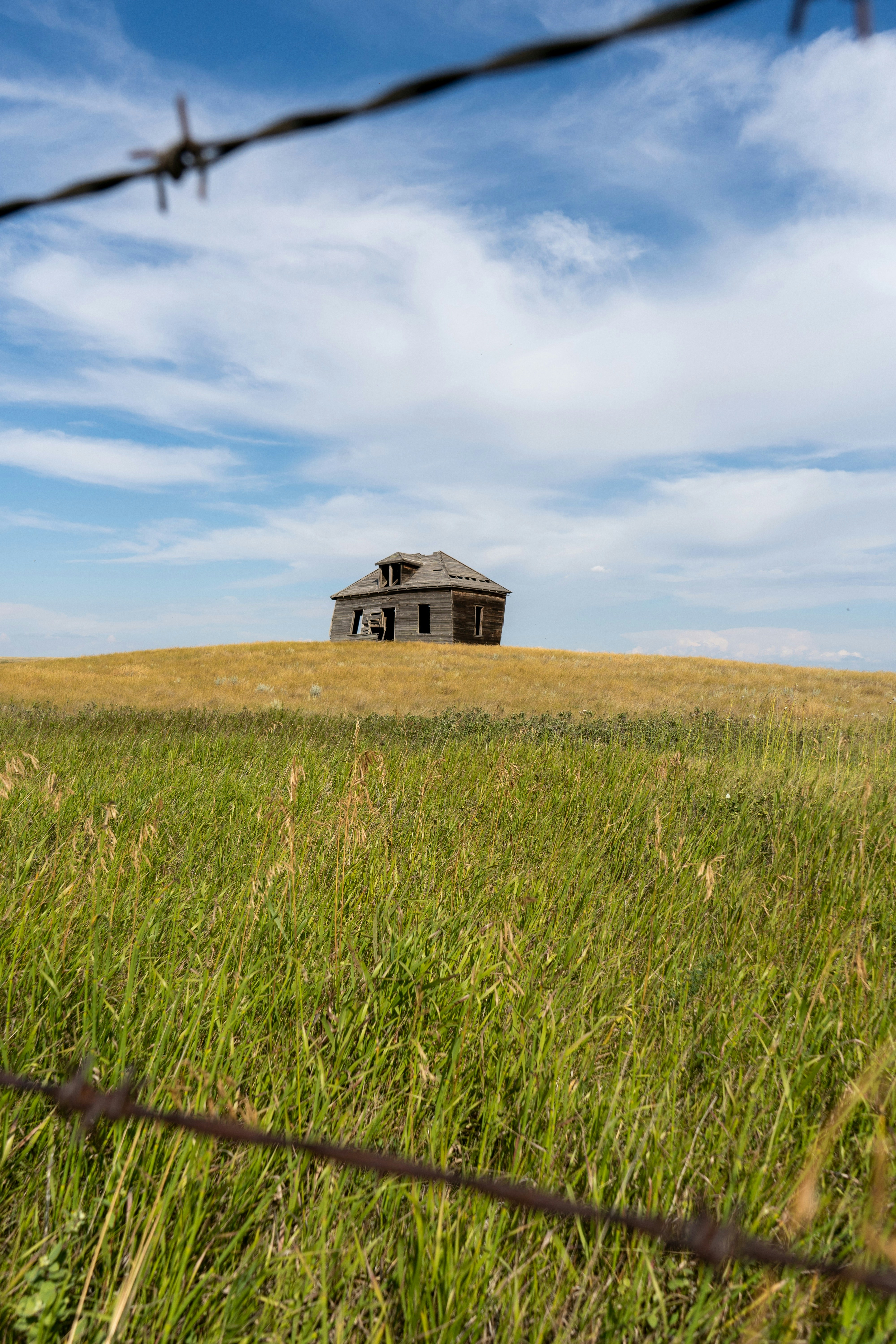 Photo by gallantimages1