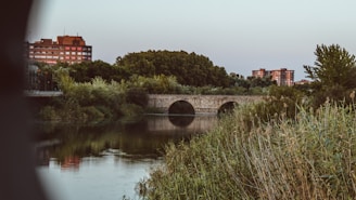 a river with a bridge over it