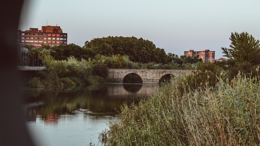 a river with a bridge over it