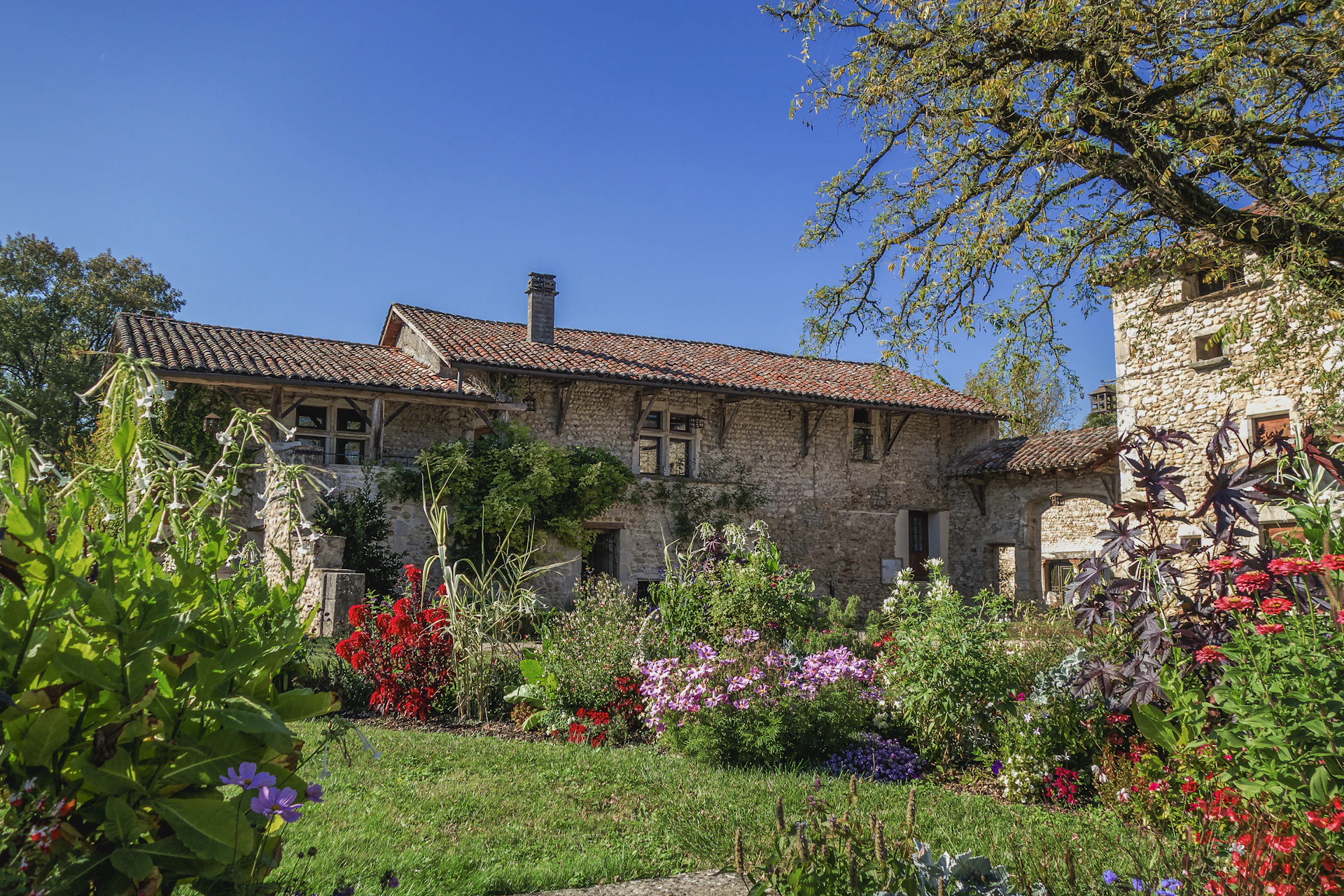 a garden in front of a house