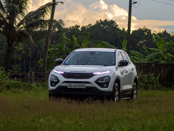 A spacious SUV ready for a family trip, surrounded by tropical greenery under a bright sky