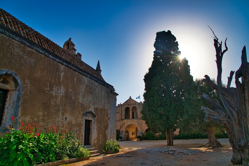 a courtyard with plants and trees