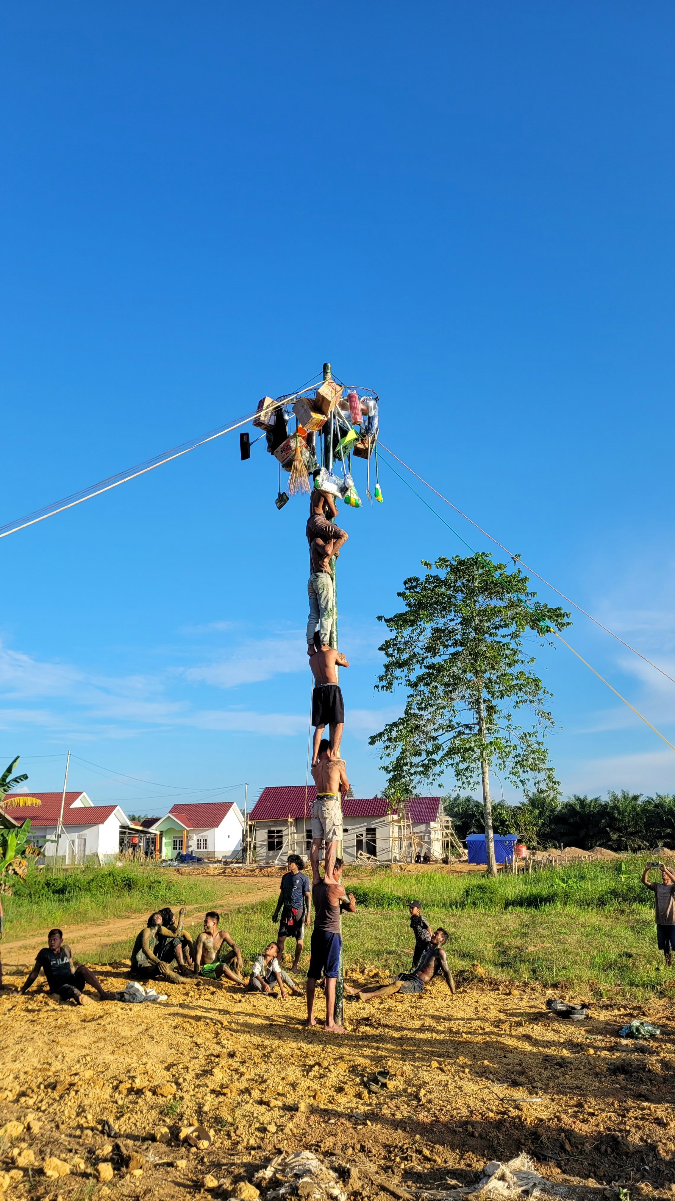a person on a pole with a kite in the air