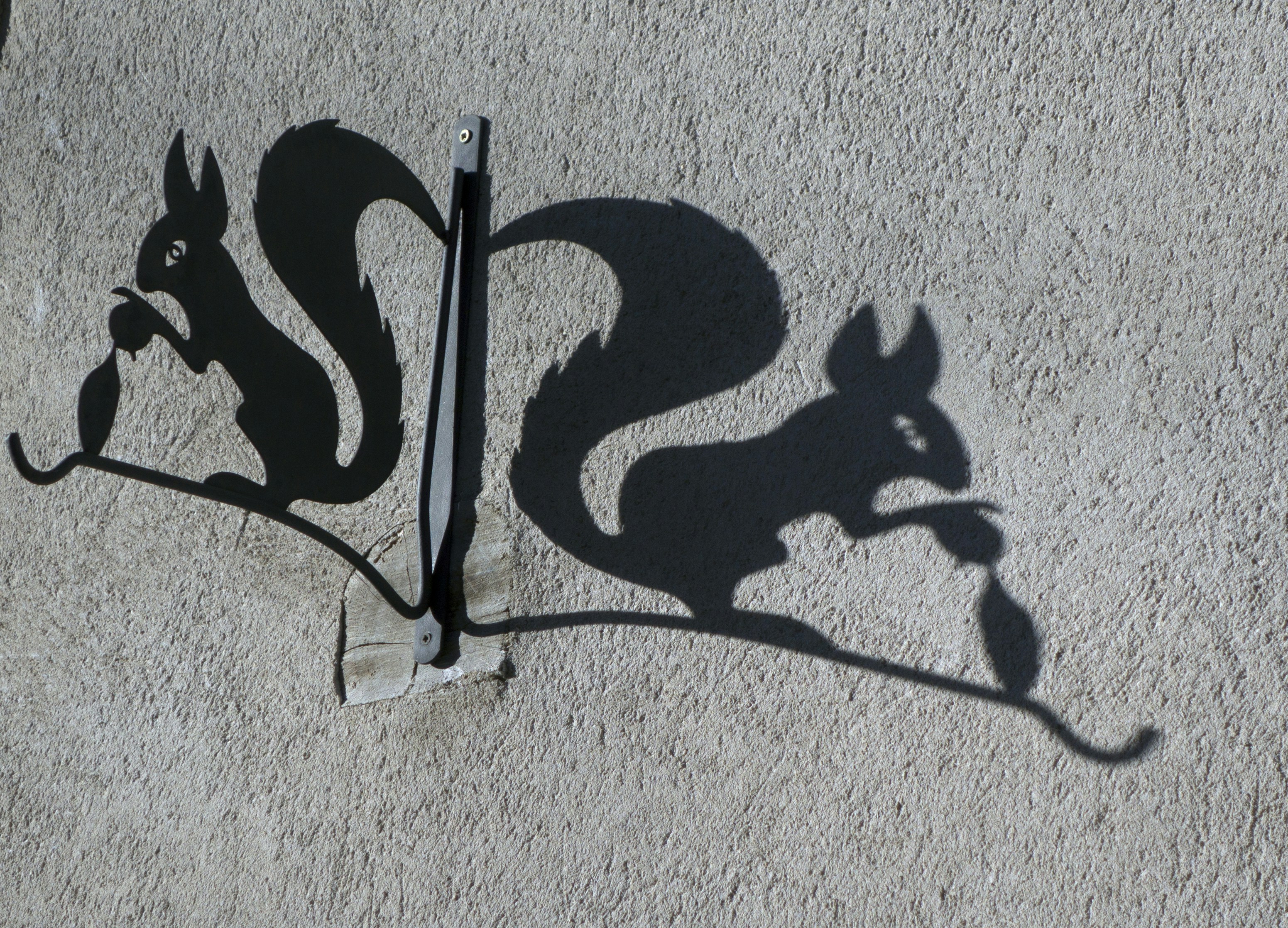 Extermination d’écureuil: où je prends un malin plaisir à faire dans la déportation