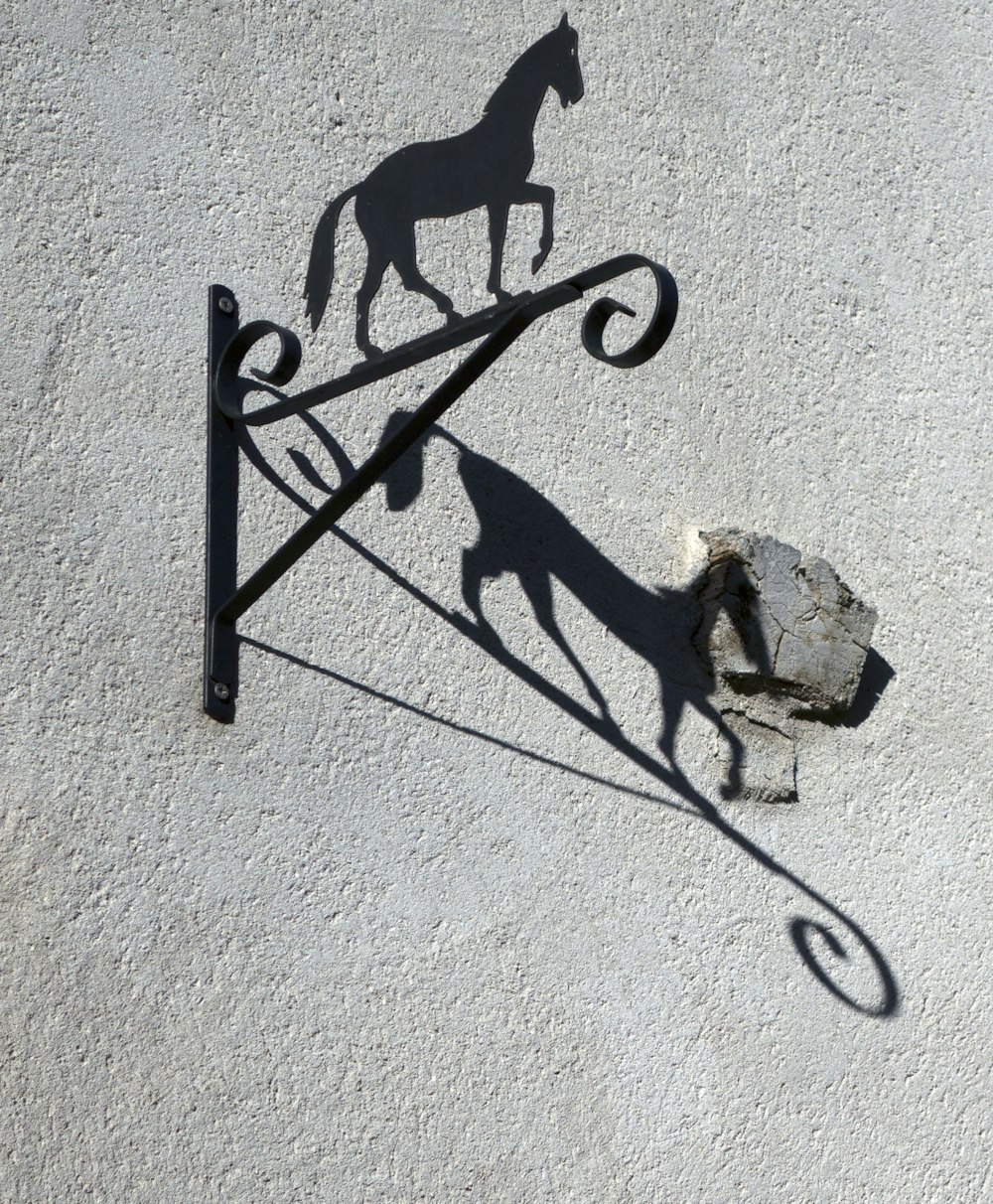 a pair of scissors and a dog