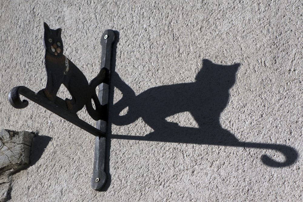 a cat sitting on a chair