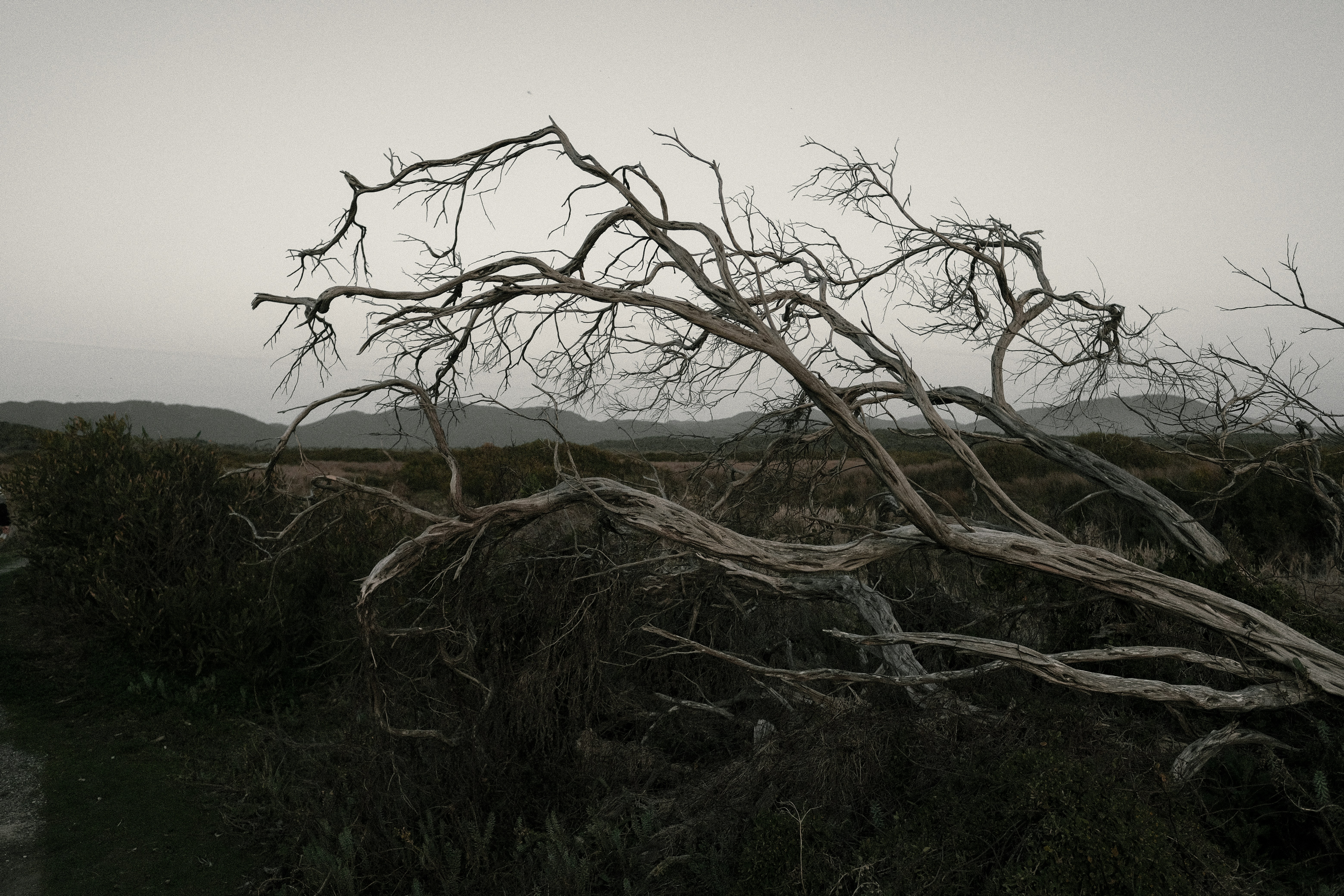 Photo by danscrate