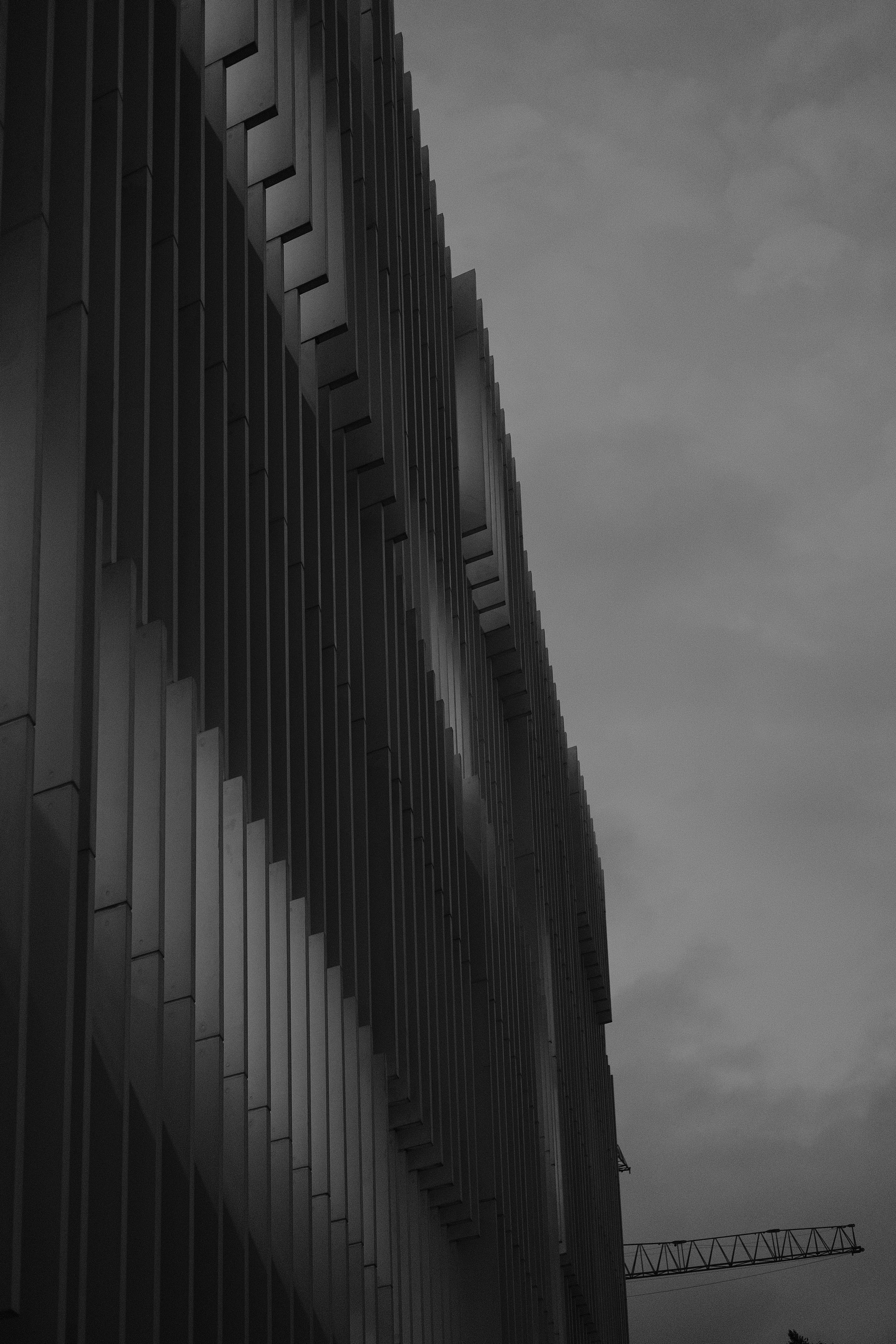 Photo by gabrielreisnf