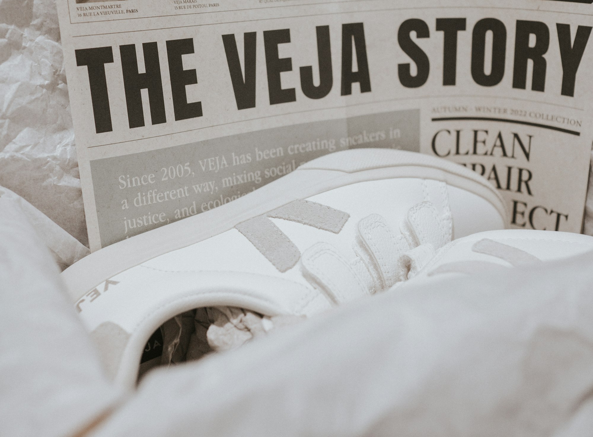 Expert's on How to Veja Shoes