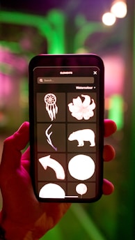 graphical user interface, application