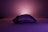 A computer mouse is placed on a flat surface, illuminated by a soft purple and pink glow from the background. The mouse features two buttons on its side and has a sleek, ergonomic design.