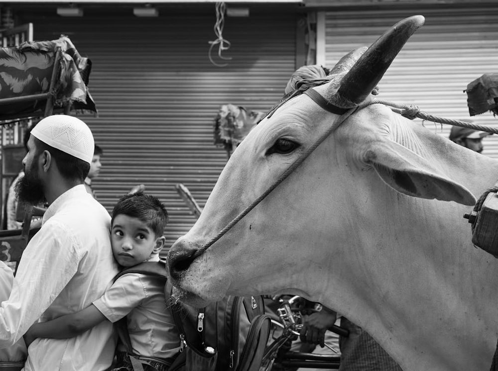 a man and a woman with a horse