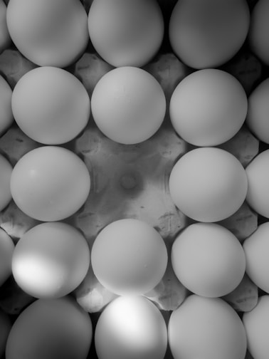A sleek, minimalist shot of perfectly arranged fresh eggs in elegant packaging with soft neutral tones.