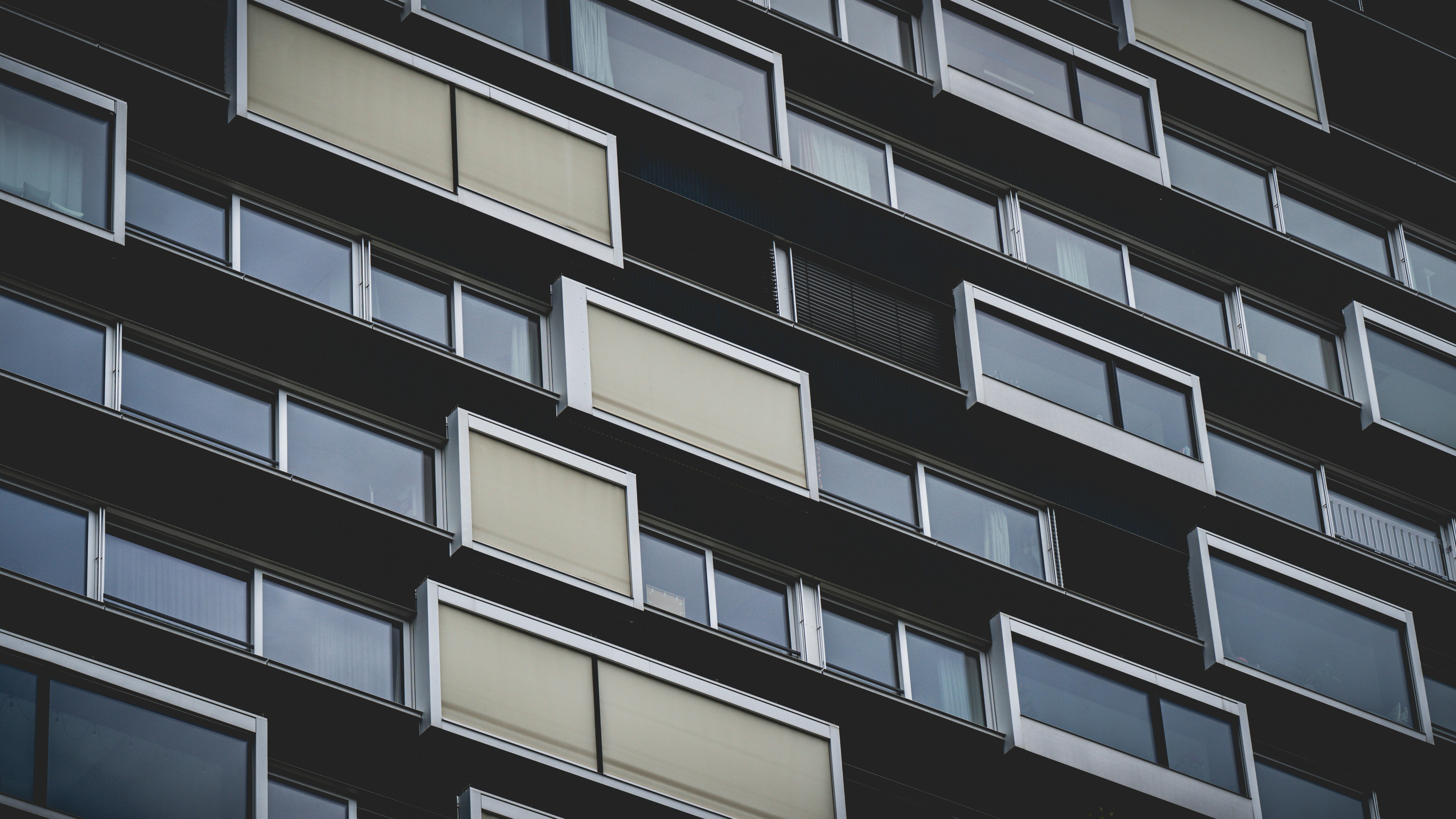 Photo by watchelijah