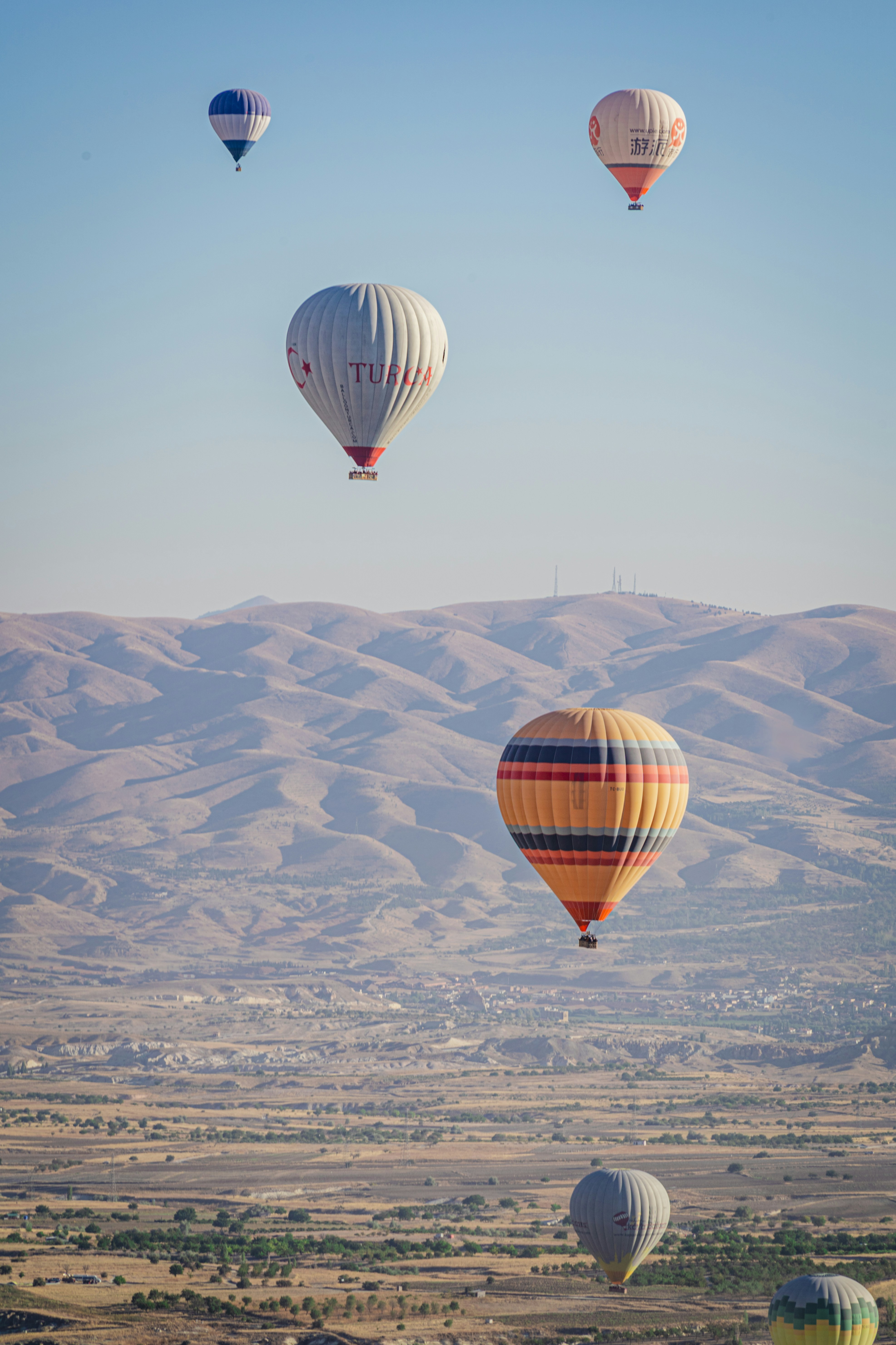 Photo by alan_____he