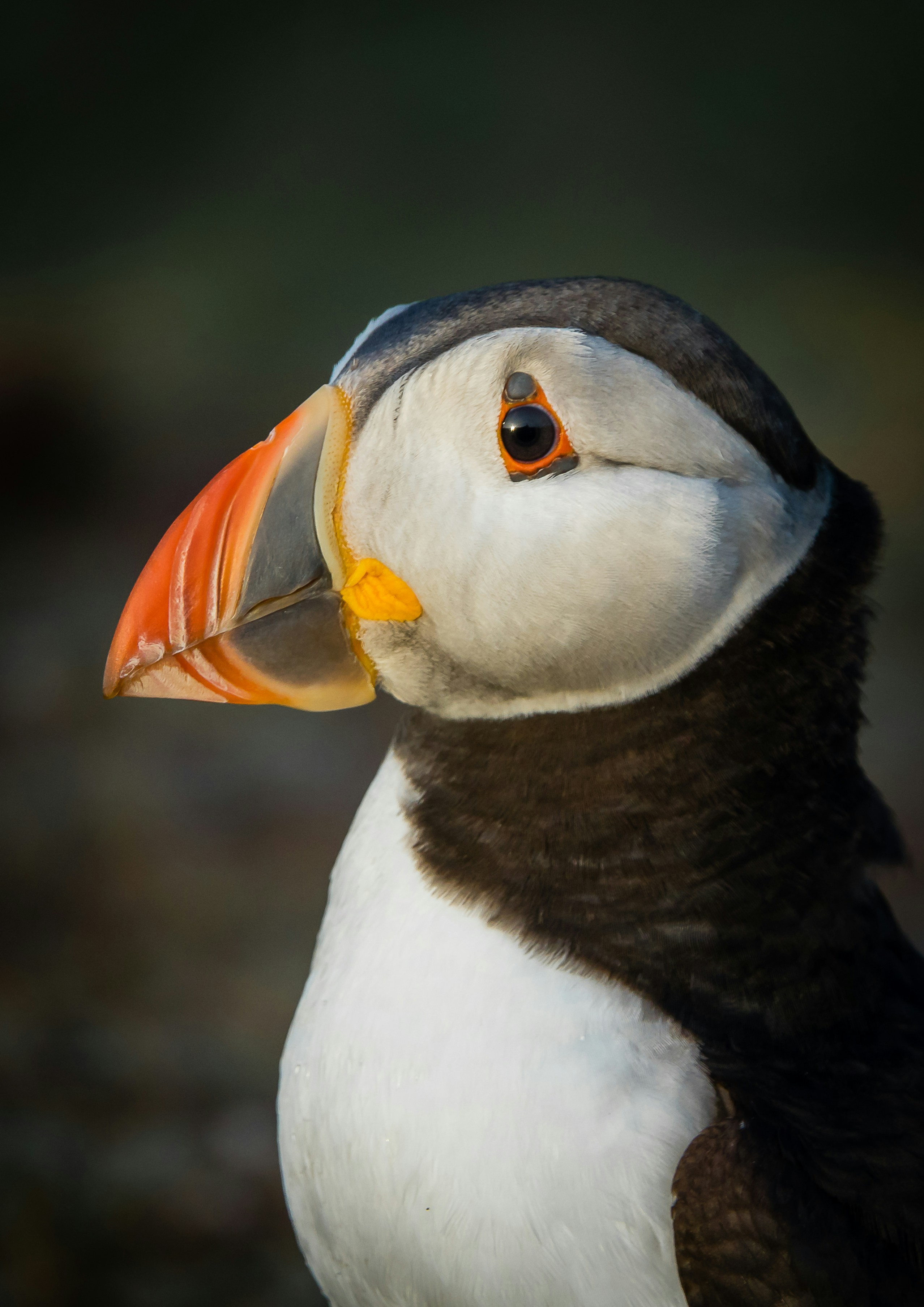 Photo by norfolkboy14