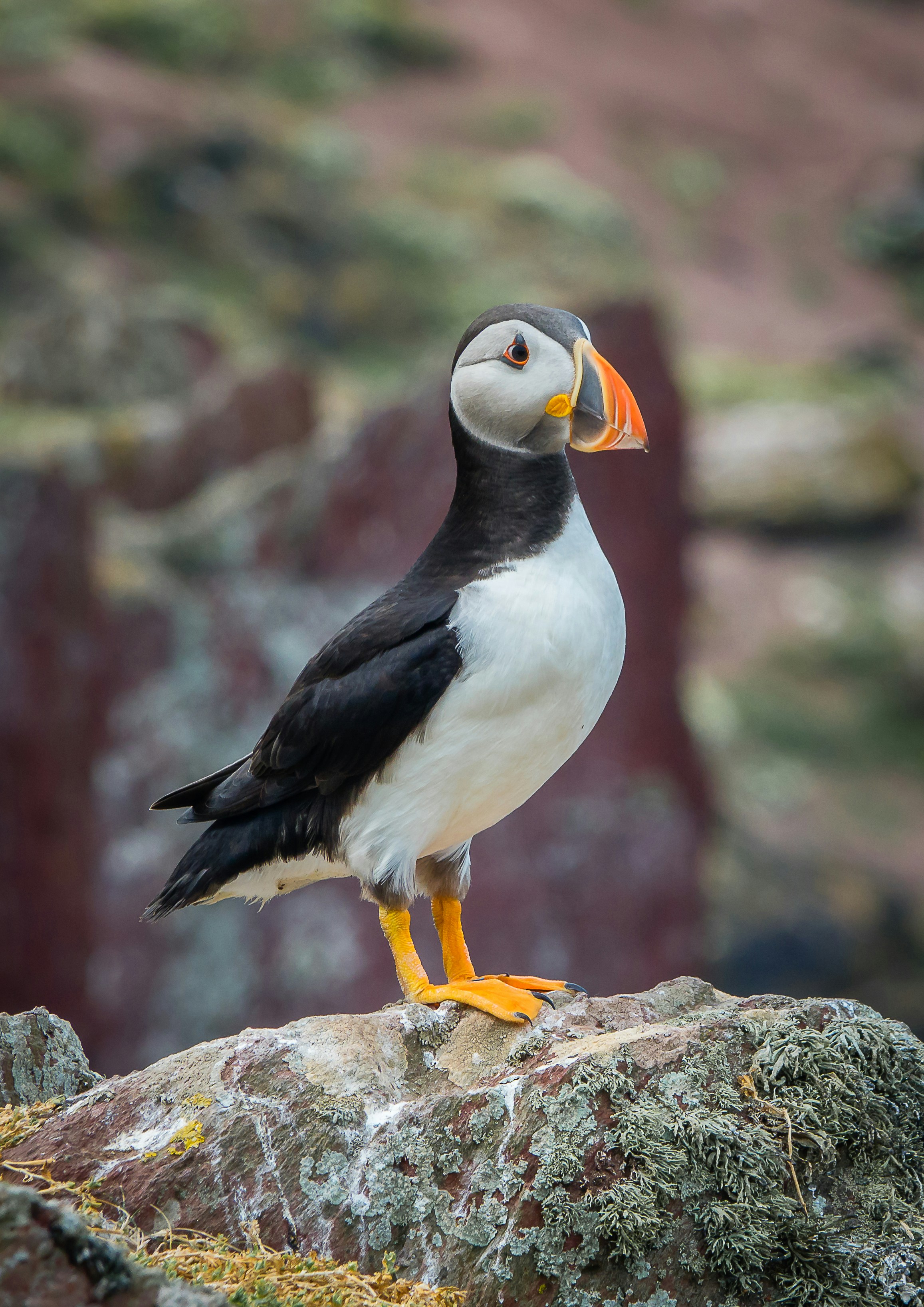 Photo by norfolkboy14