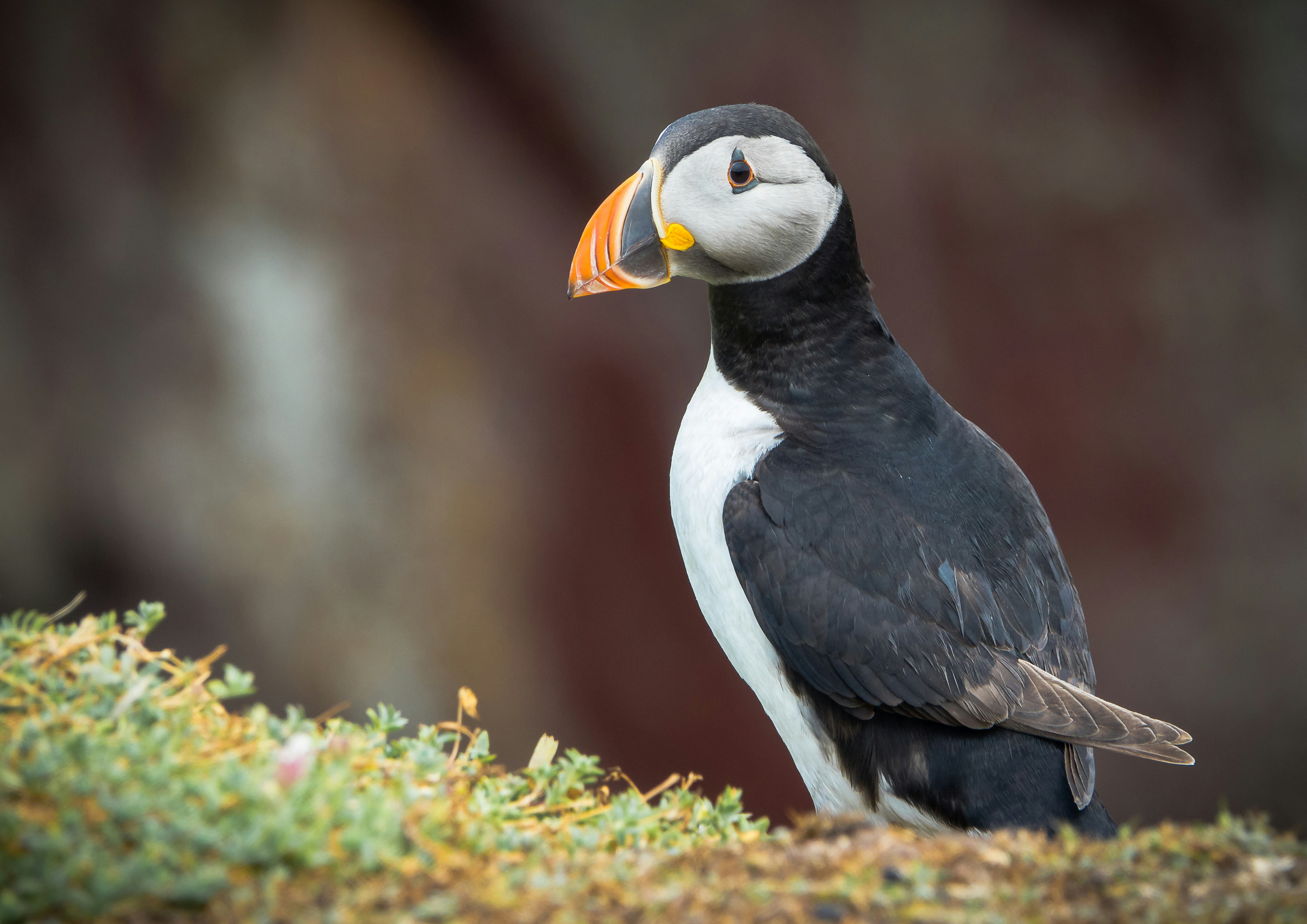 Photo by norfolkboy14