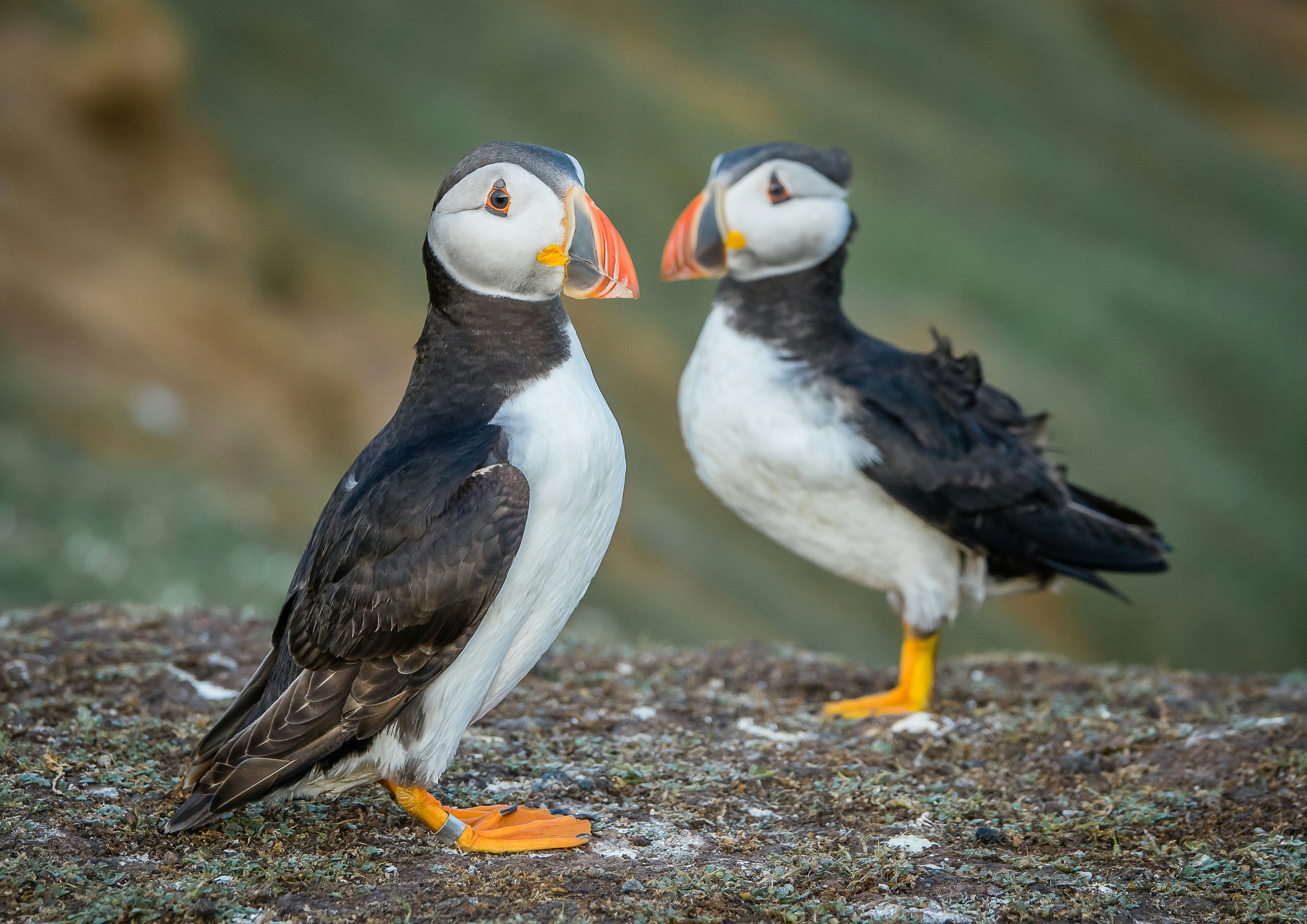 Photo by norfolkboy14