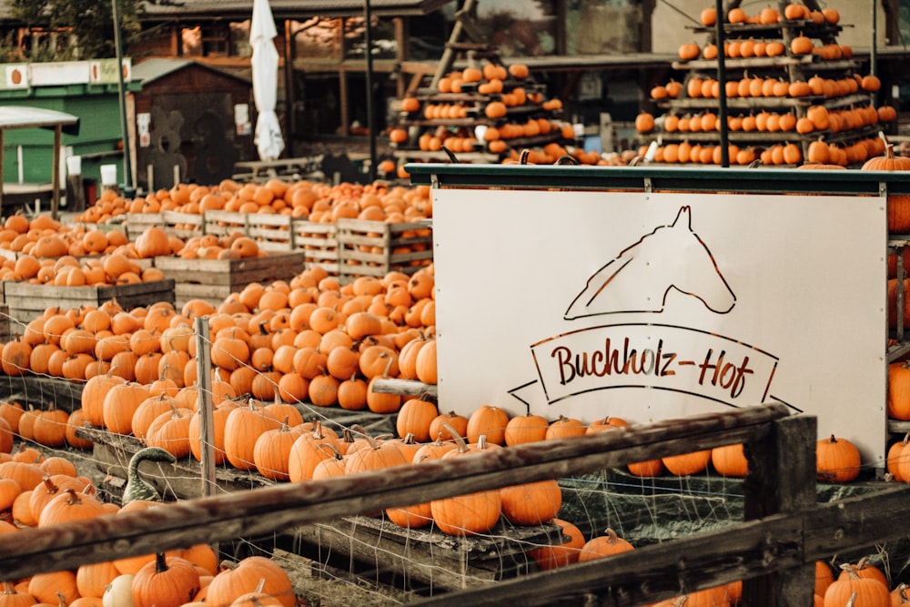 a display of pumpkins and pumpkins