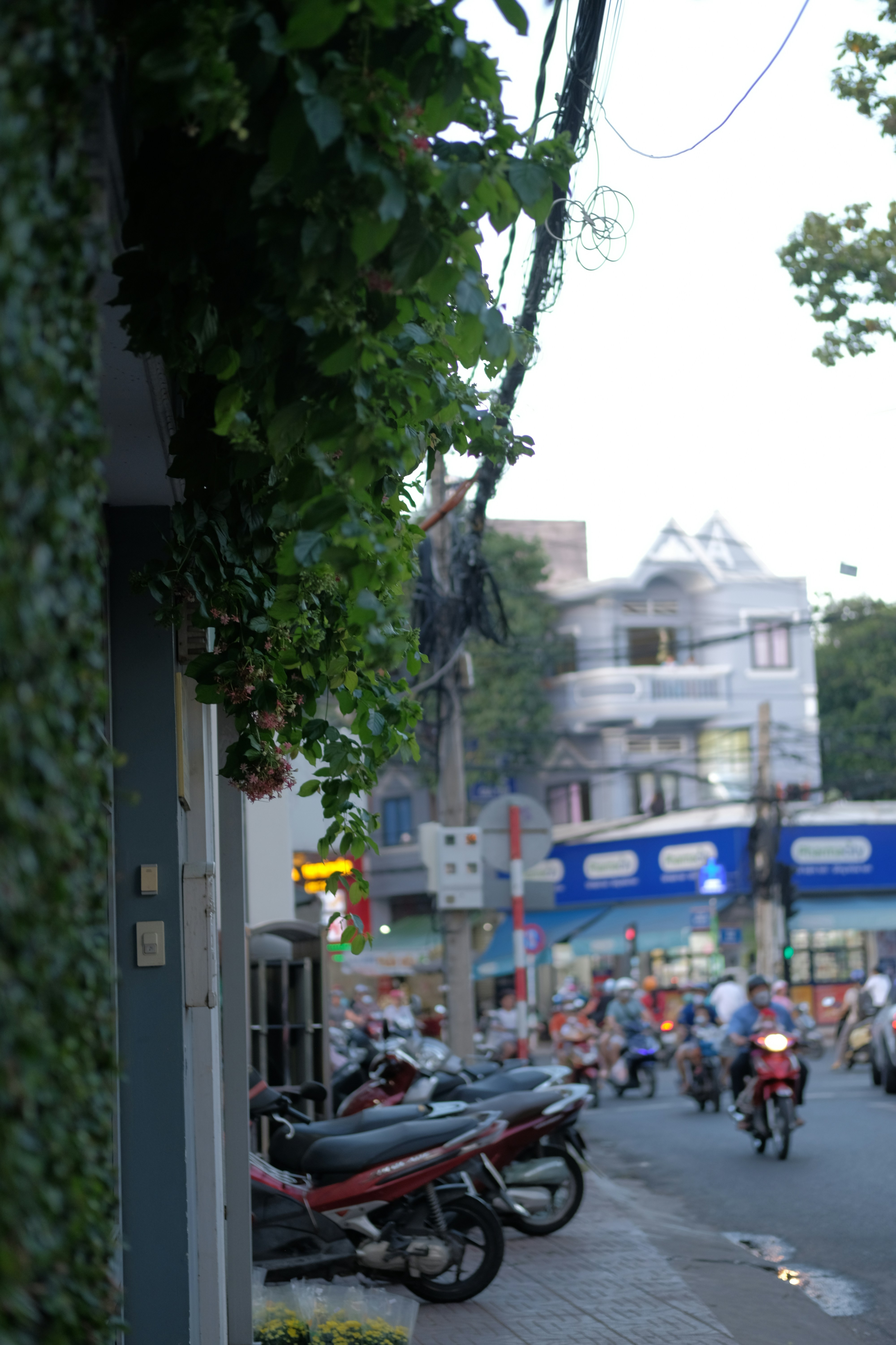 Vung Tau – Nightlife & Evening Culture